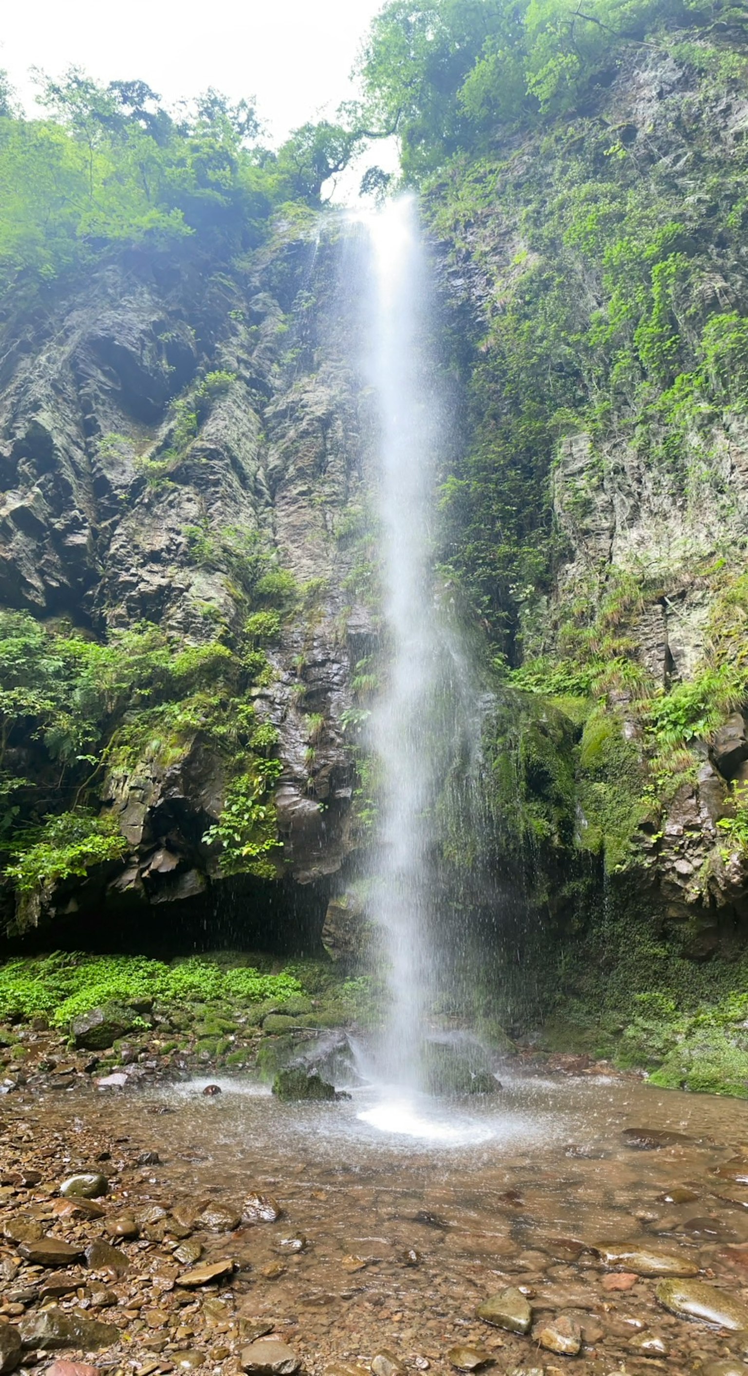 Beautiful waterfall cascading down surrounded by lush greenery