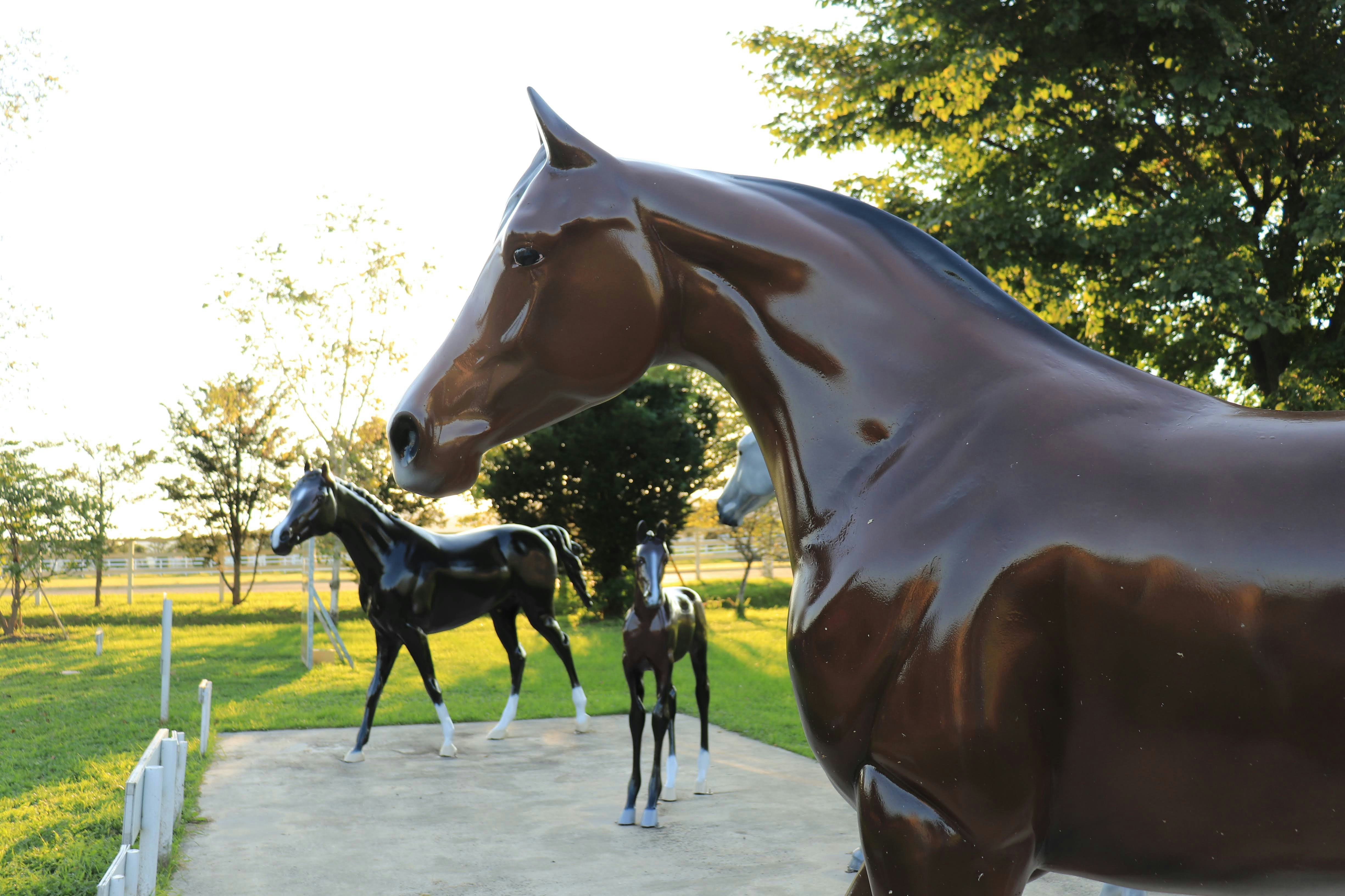 Outdoor scene of horses and a child interacting on a grassy area