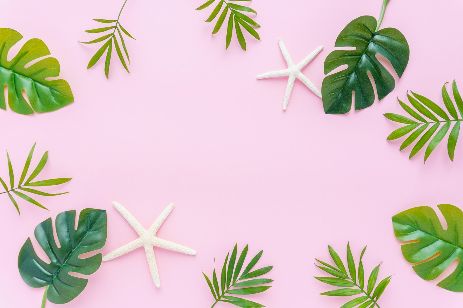 Decorative green leaves and white starfish arranged on a pink background