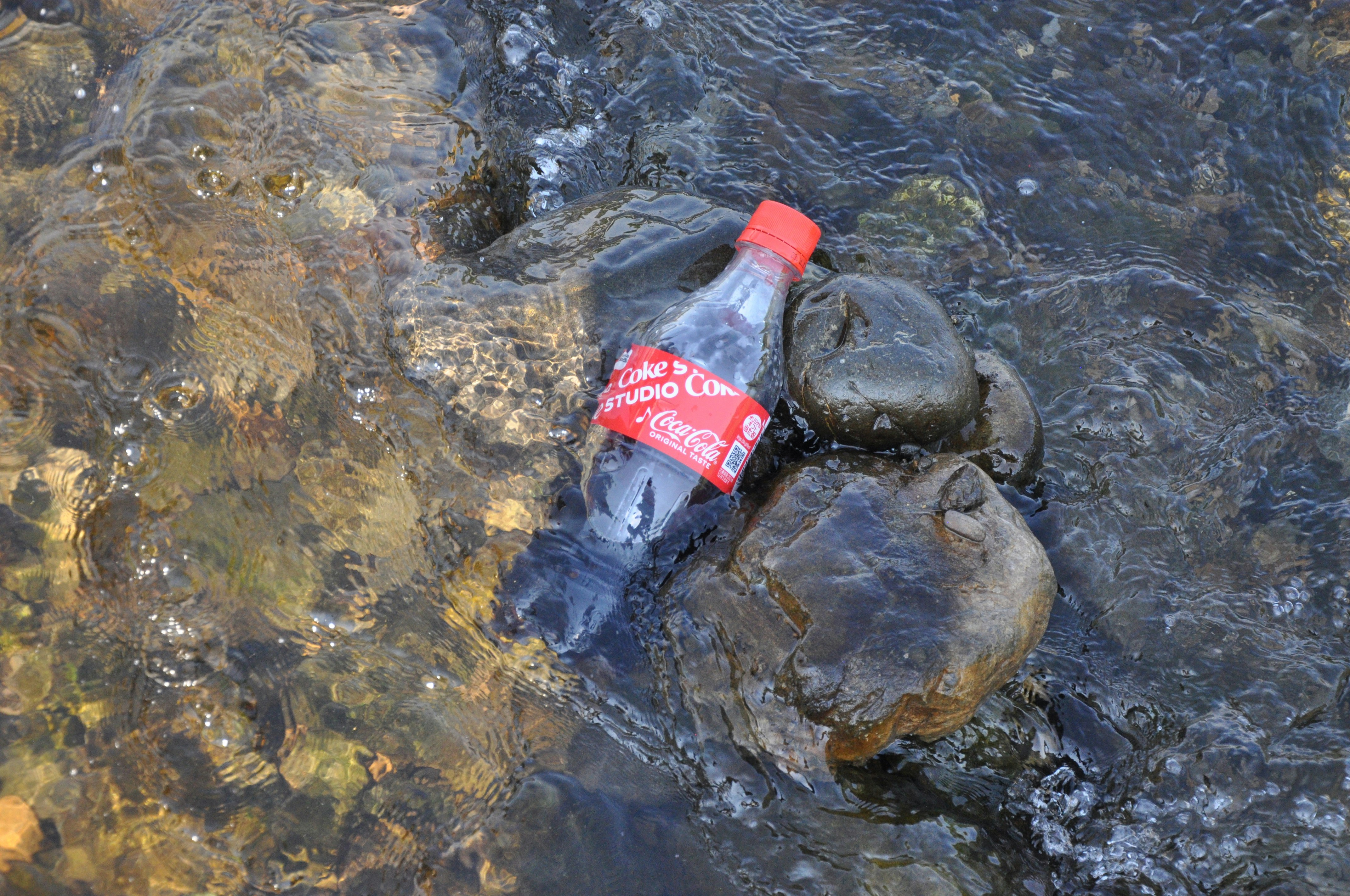 淺水河段中漂浮的塑膠瓶與石塊