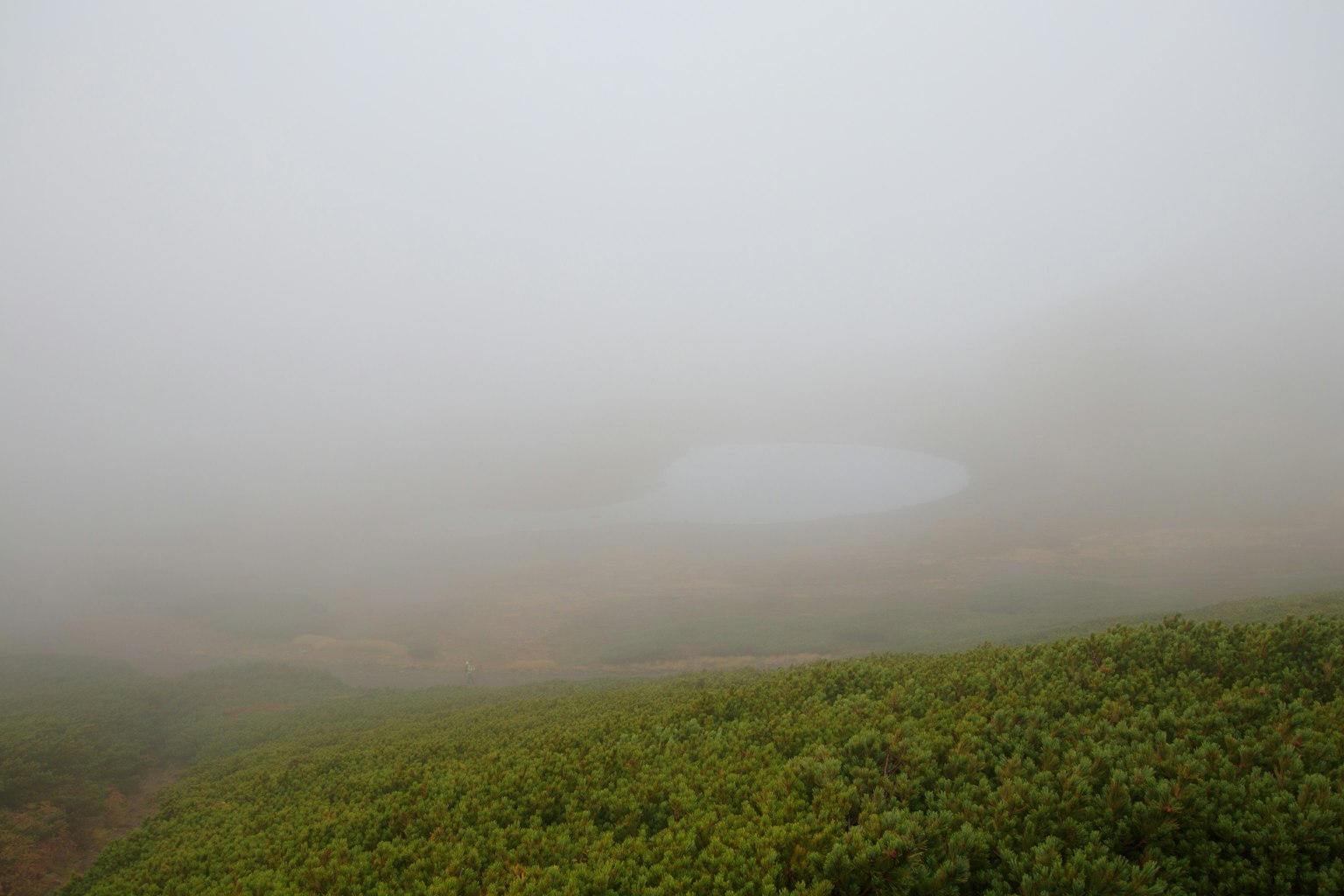 Nebeliger Landschaft mit grünem Gras und einem kleinen Teich