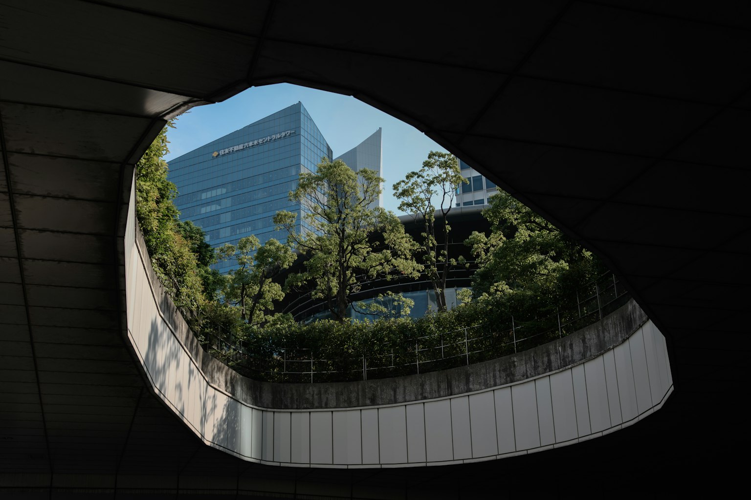 ํ๋ ๊ฑด๋ฌผ๊ณผ ๋ฌด์ฑํ ๋
น์ง๊ฐ ๋ณด์ด๋ ๊ตฌ๋ฉ์ ํตํ ์ ๋ง