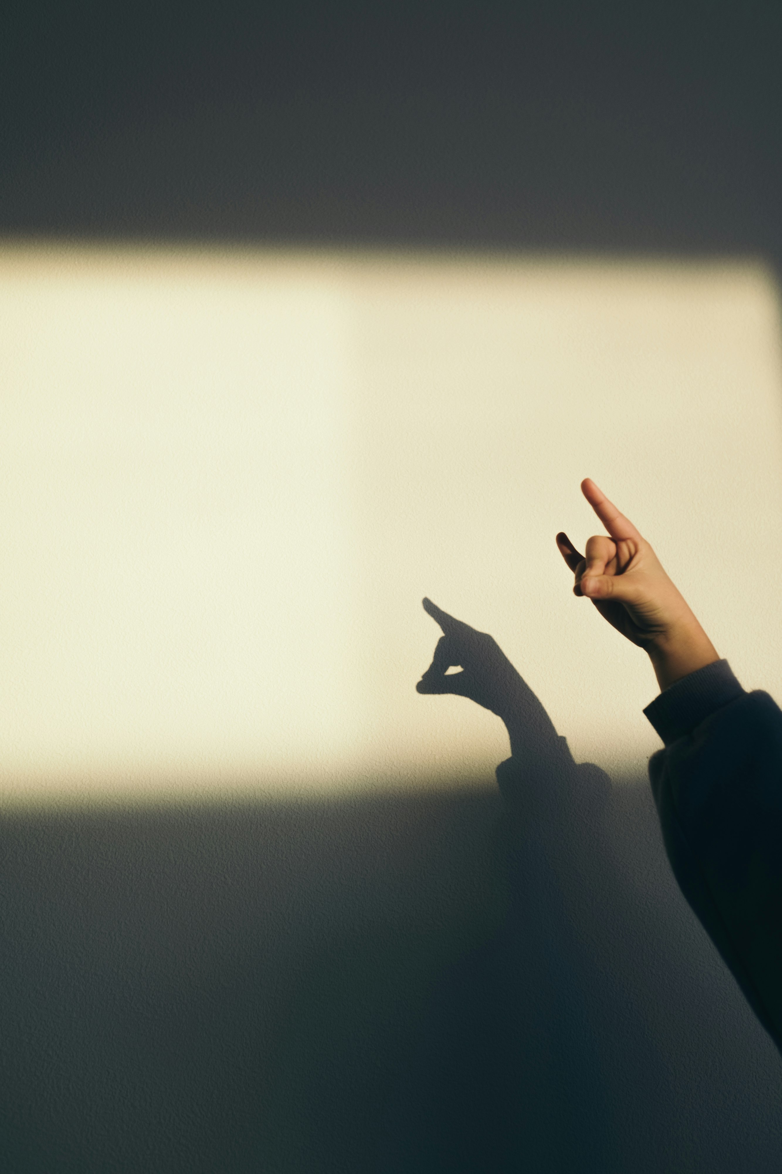 hand gesture shadow play