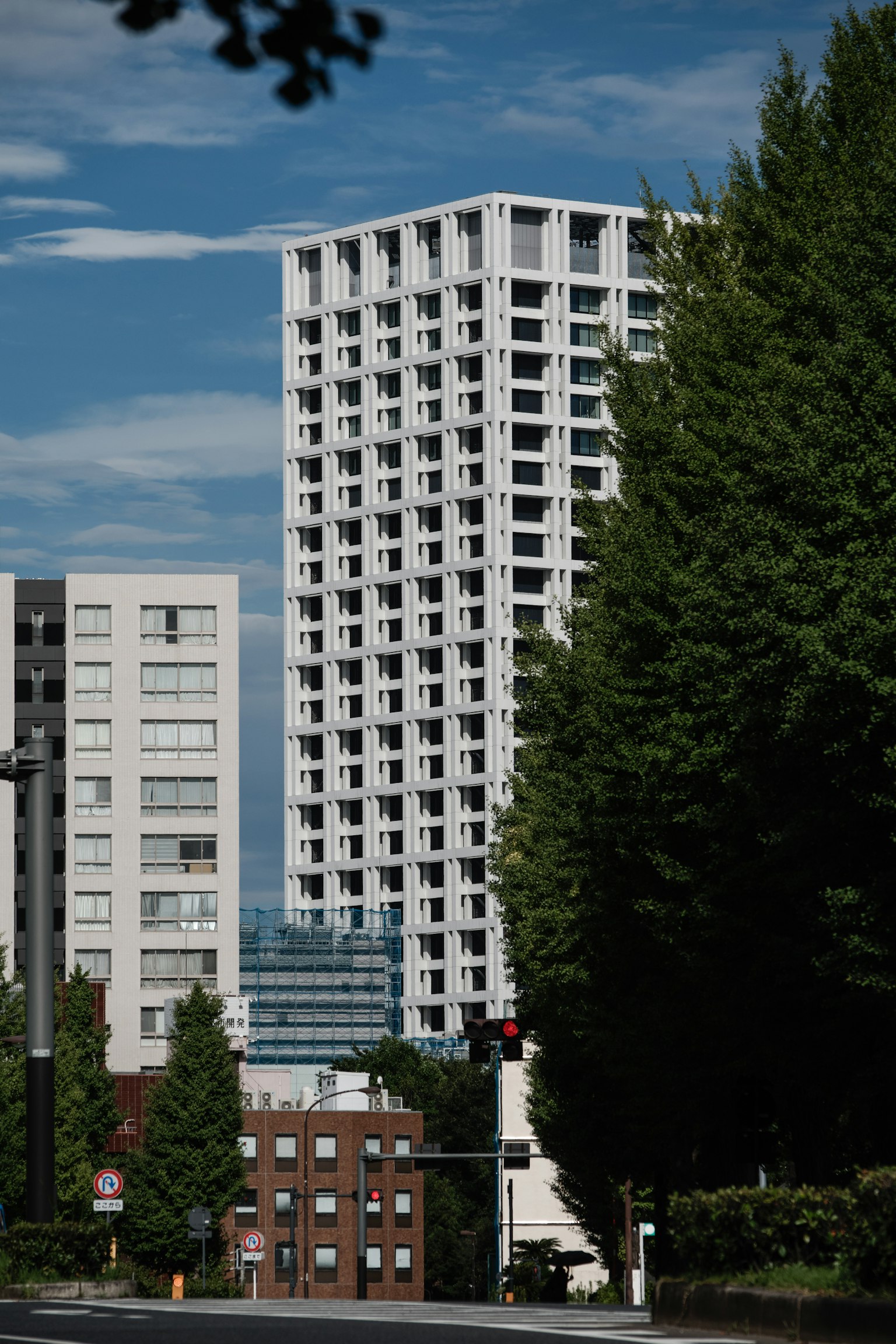 城市景觀，高樓大廈與綠色樹木