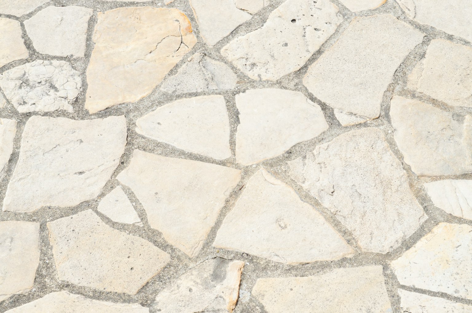 Paved ground featuring a pattern of white stones