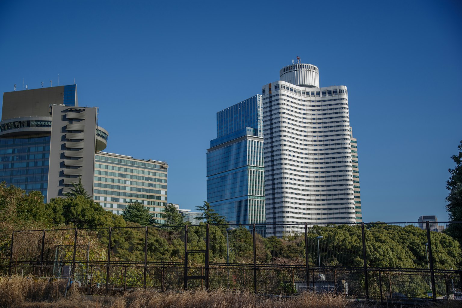 Stadtansicht mit modernen Gebäuden unter klarem blauen Himmel und Grün im Vordergrund