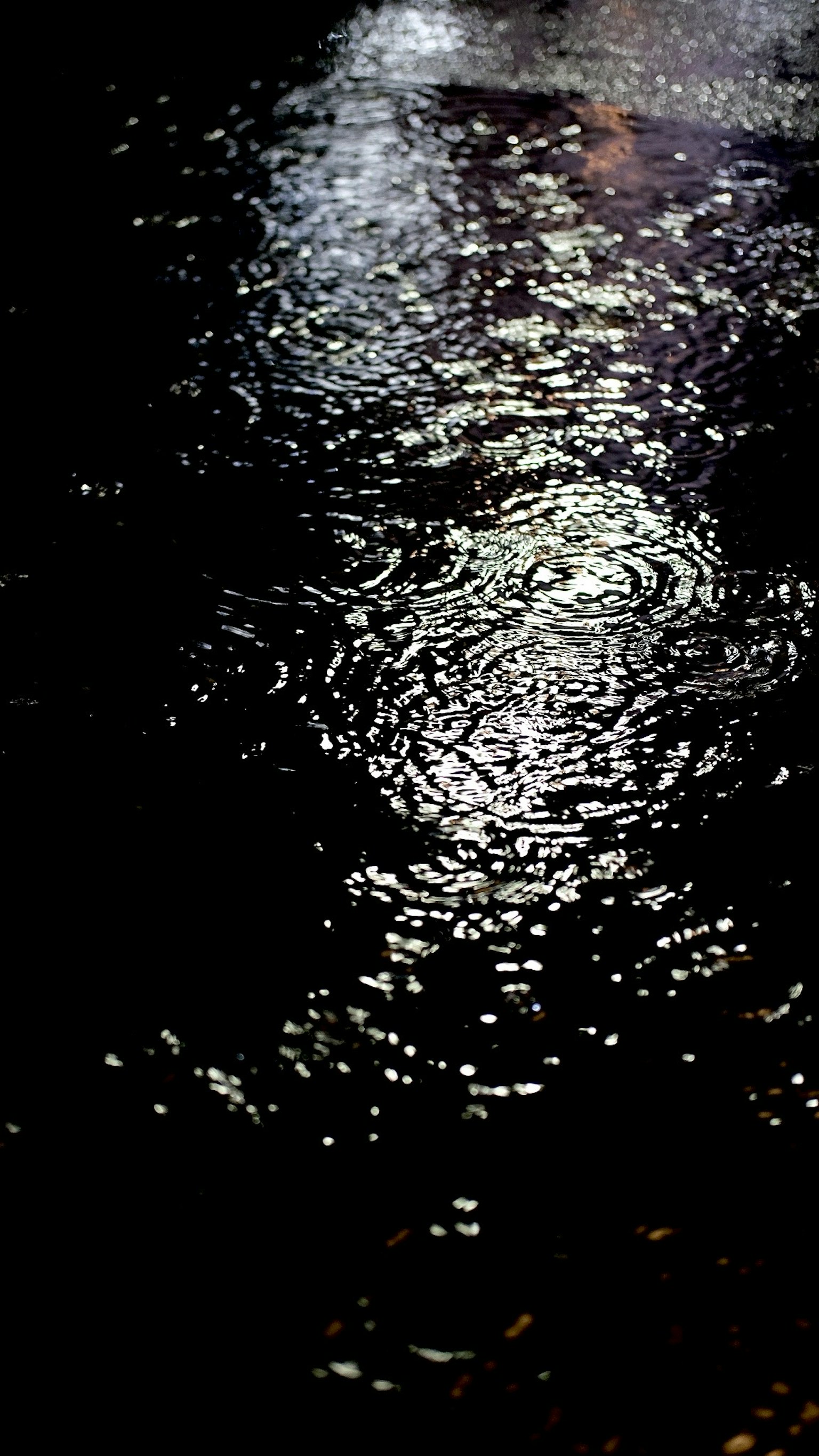 Schöne nächtliche Szene mit Lichtreflexionen auf der dunklen Wasseroberfläche
