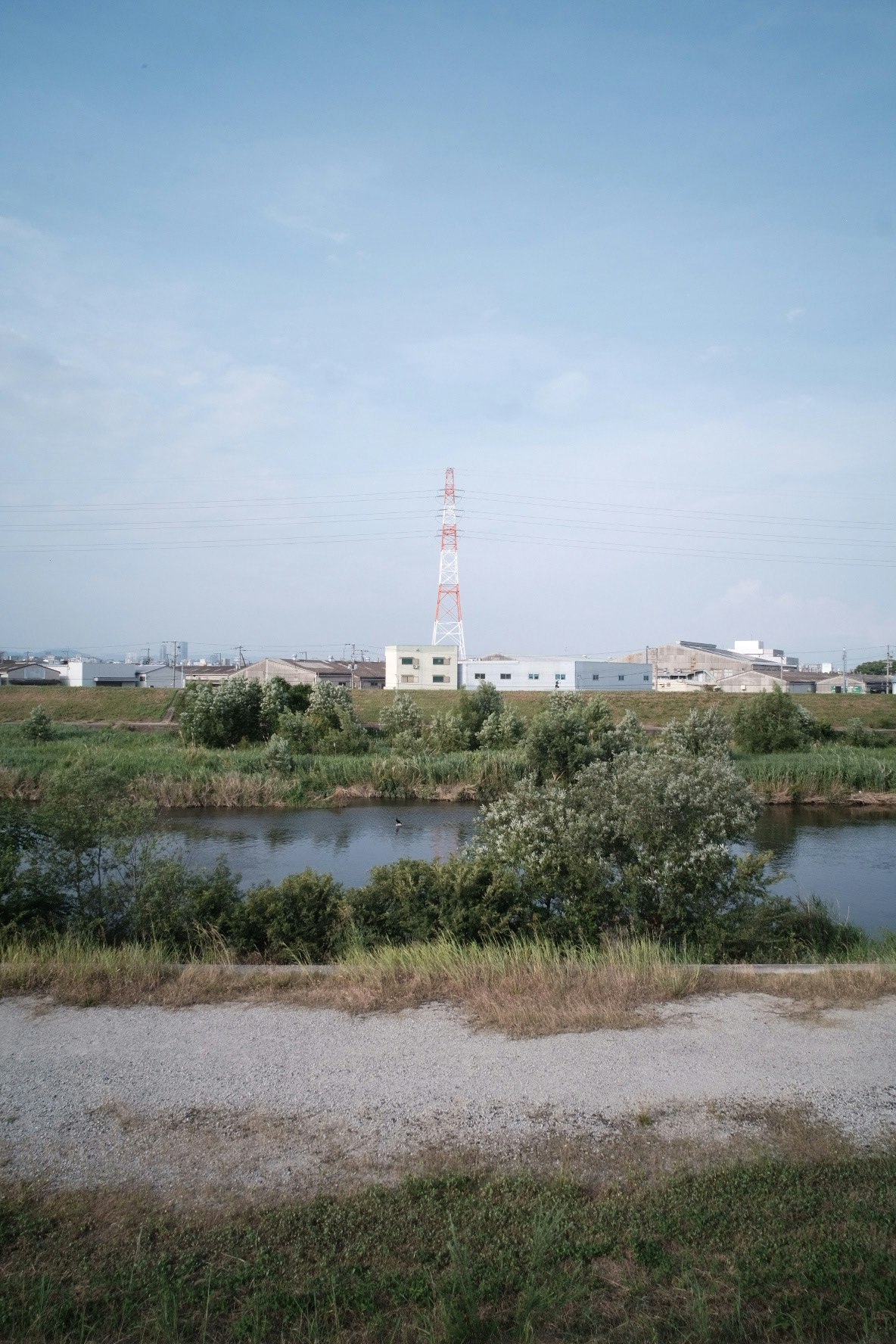 川沿いの草地と遠くに見える送信塔のある風景