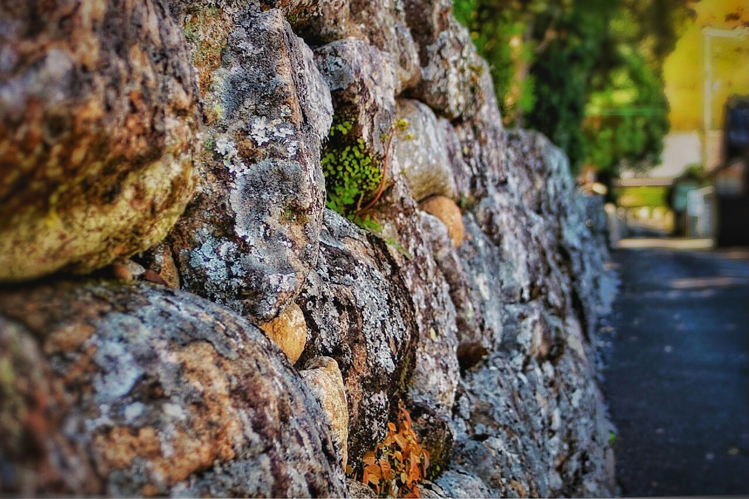 石墙特写与模糊的绿色背景
