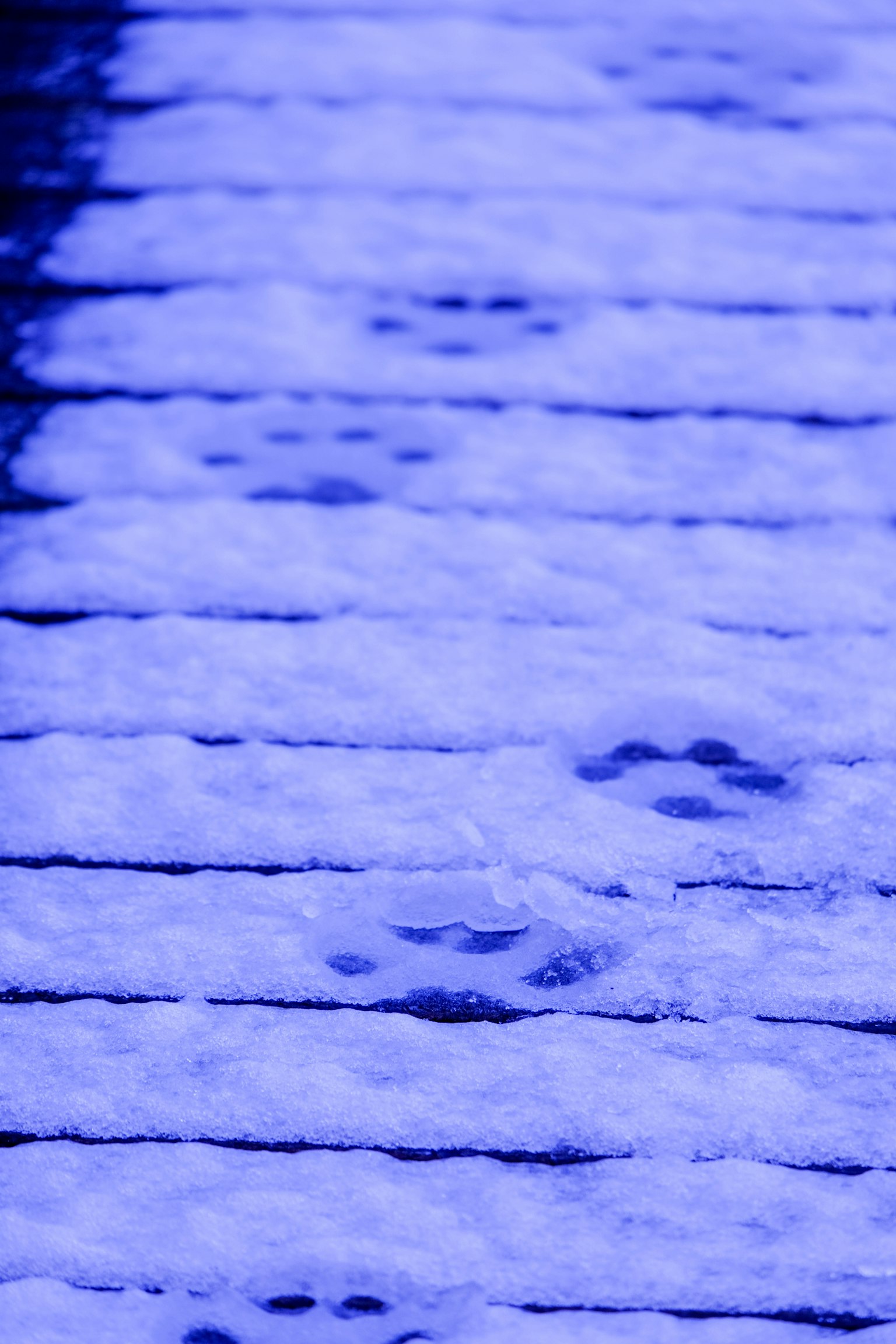 Empreintes dans la neige illuminées par une lumière bleue