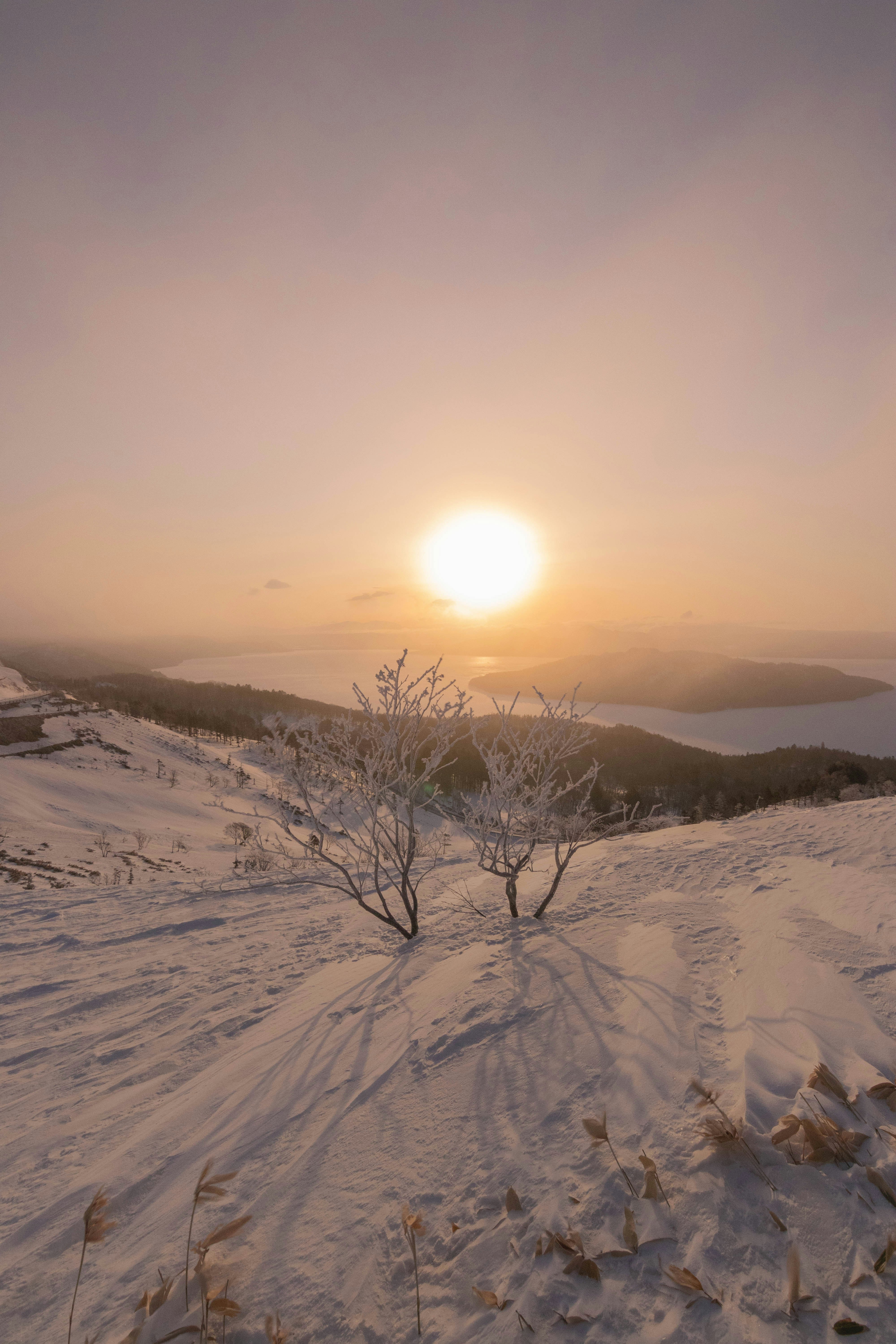 Shukabra on a snowy field at sunrise