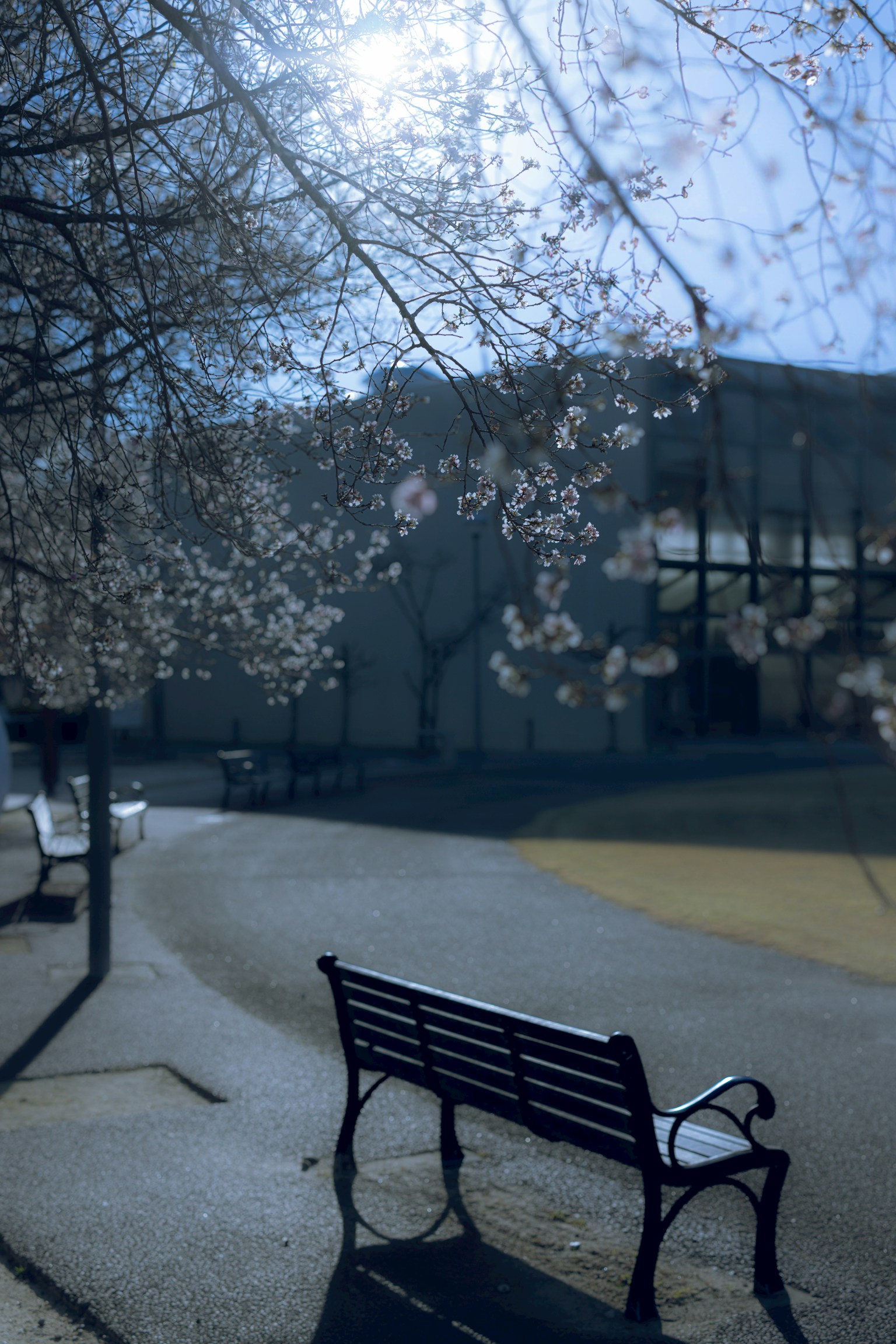 photo-QqP9Fs9LBjJXBLtDzSPM-image