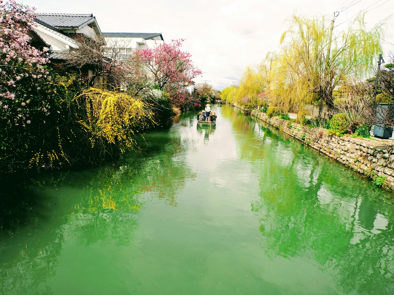 Beautiful spring scenery with colorful flowers and houses along a green canal