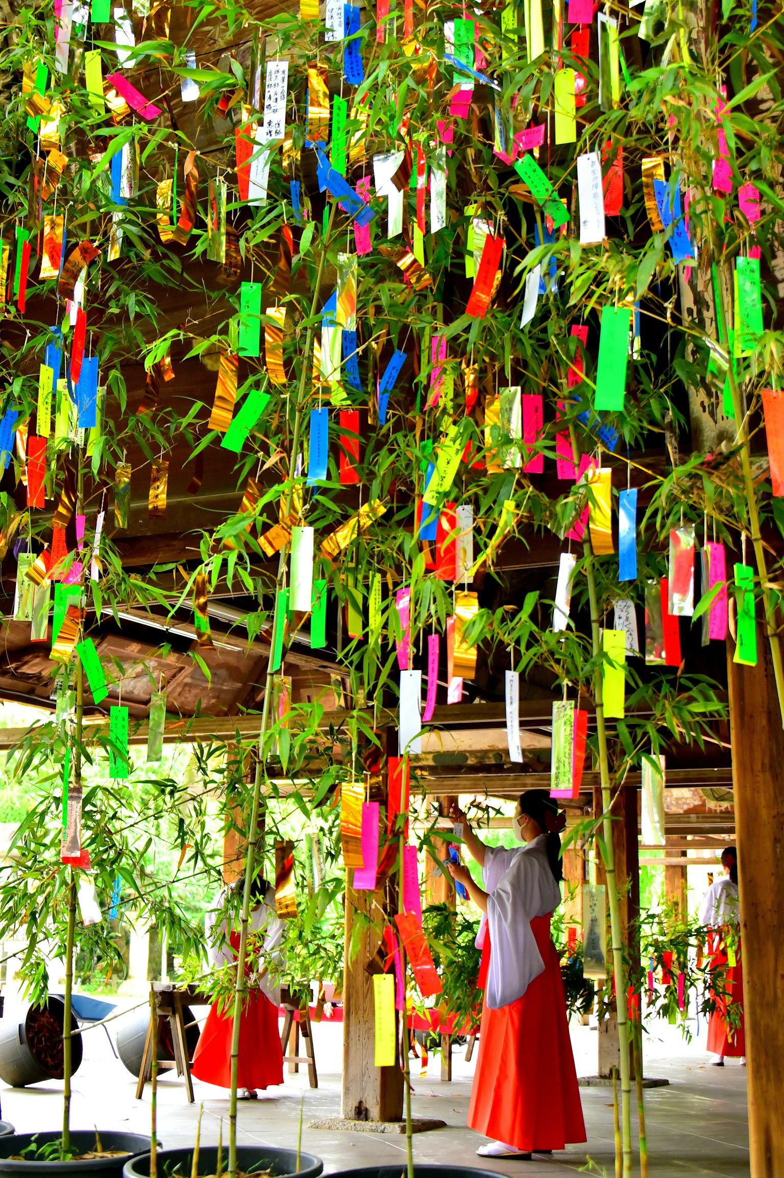 Una mujer decorando tiras coloridas colgadas de ramas de bambú