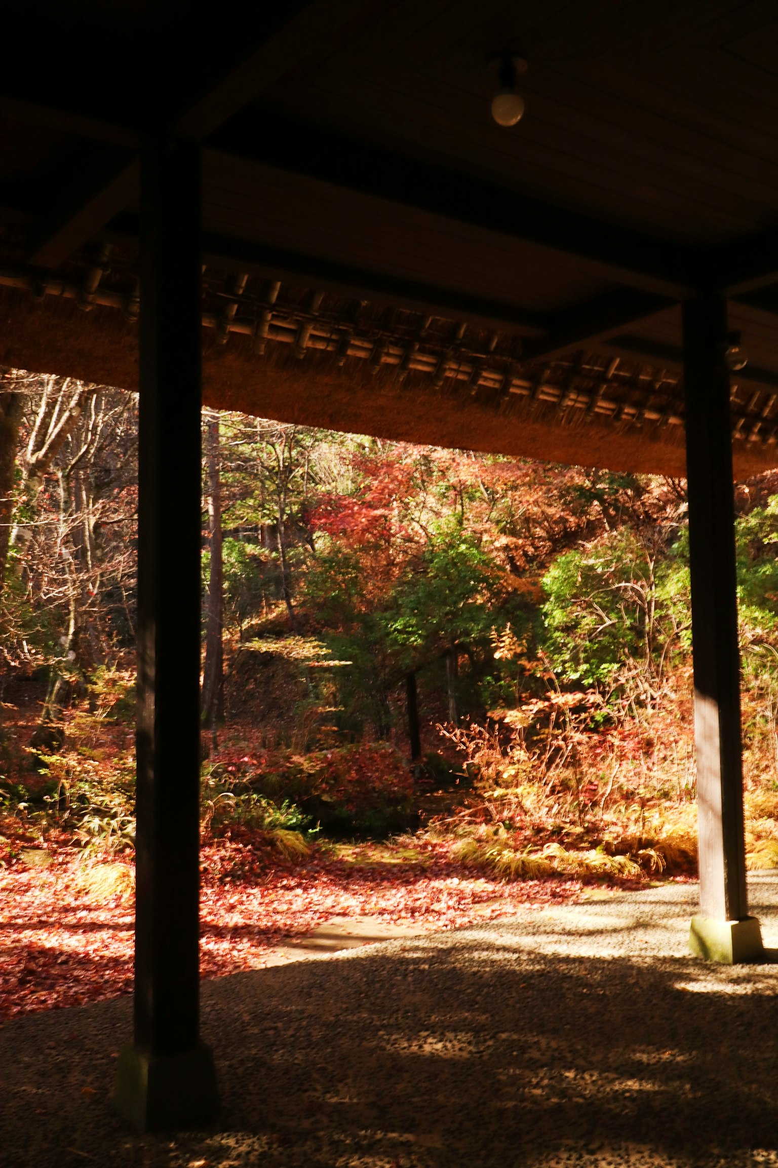 Interior view of a building with wooden pillars showcasing a beautiful autumn landscape