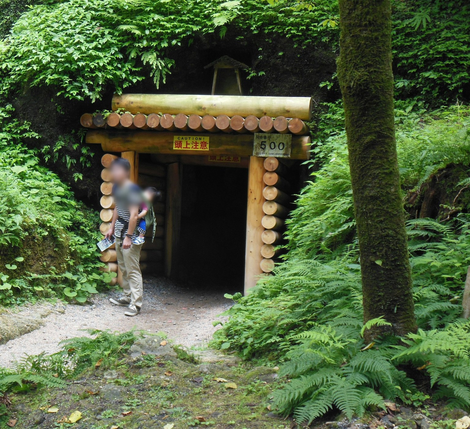 Entrata in legno con vegetazione lussureggiante che circonda un tunnel