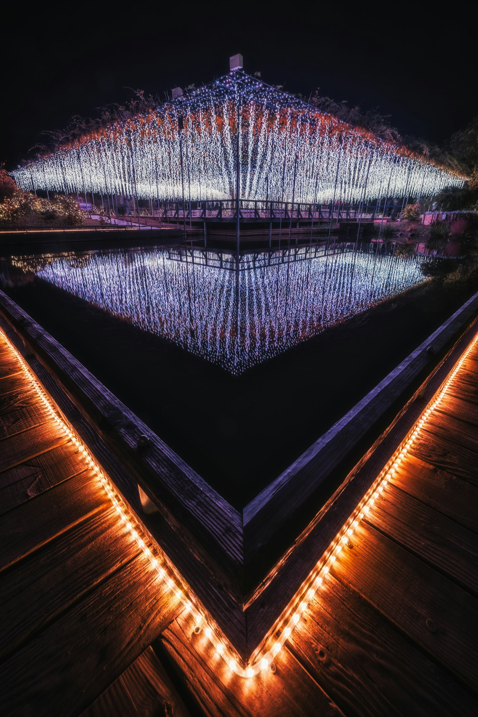 Belle réflexion d'un étang illuminé et lumières décoratives la nuit