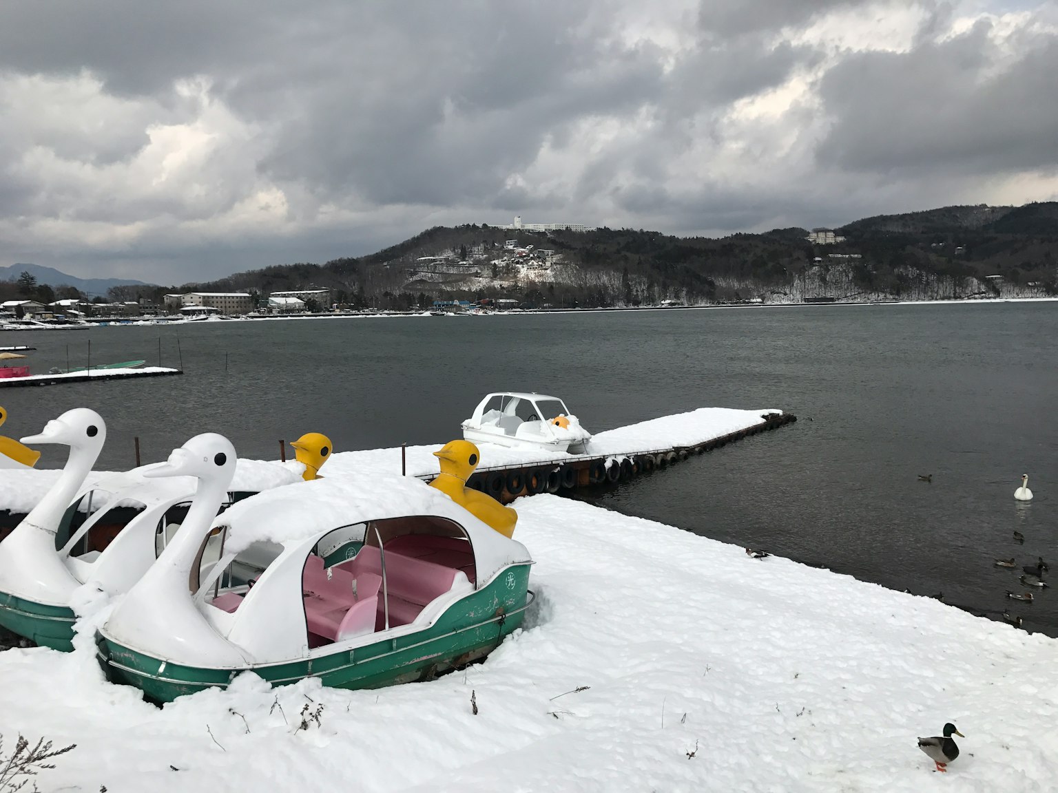 Snow-covered lakeside with swan-shaped paddle boats and a cloudy sky