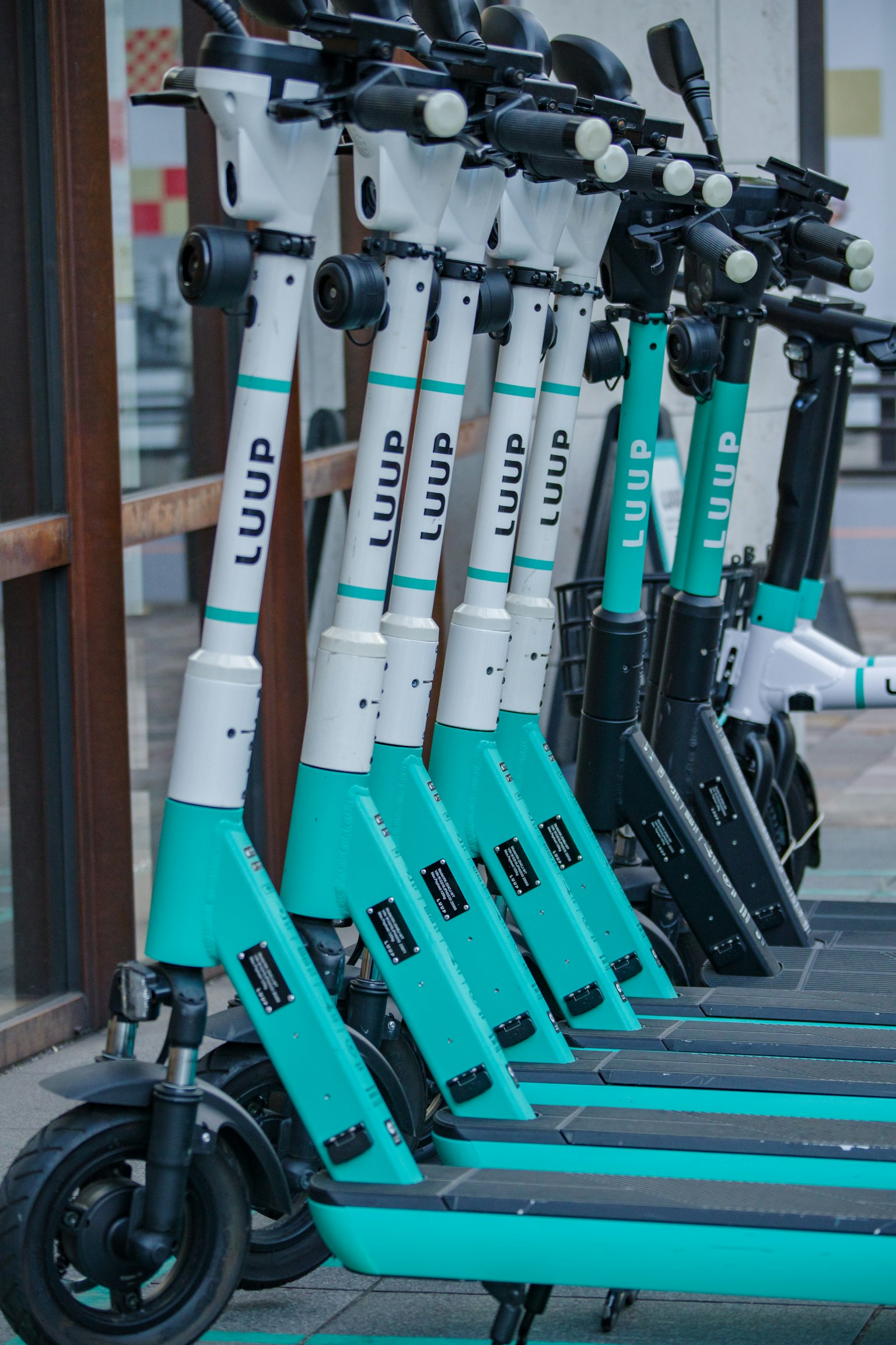 Trottinettes électriques LUUP alignées proprement