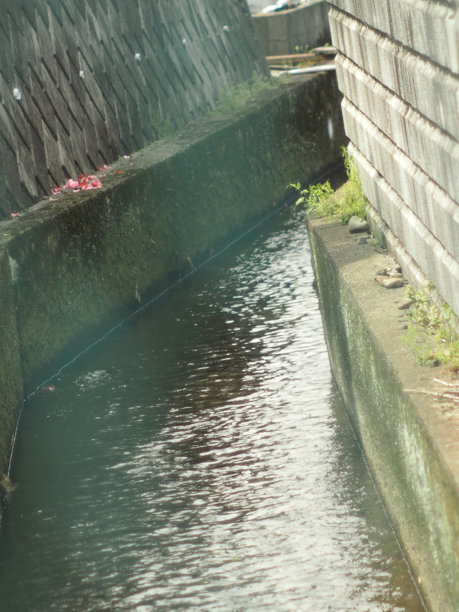 Concrete walls along a narrow waterway with reflections on the water surface