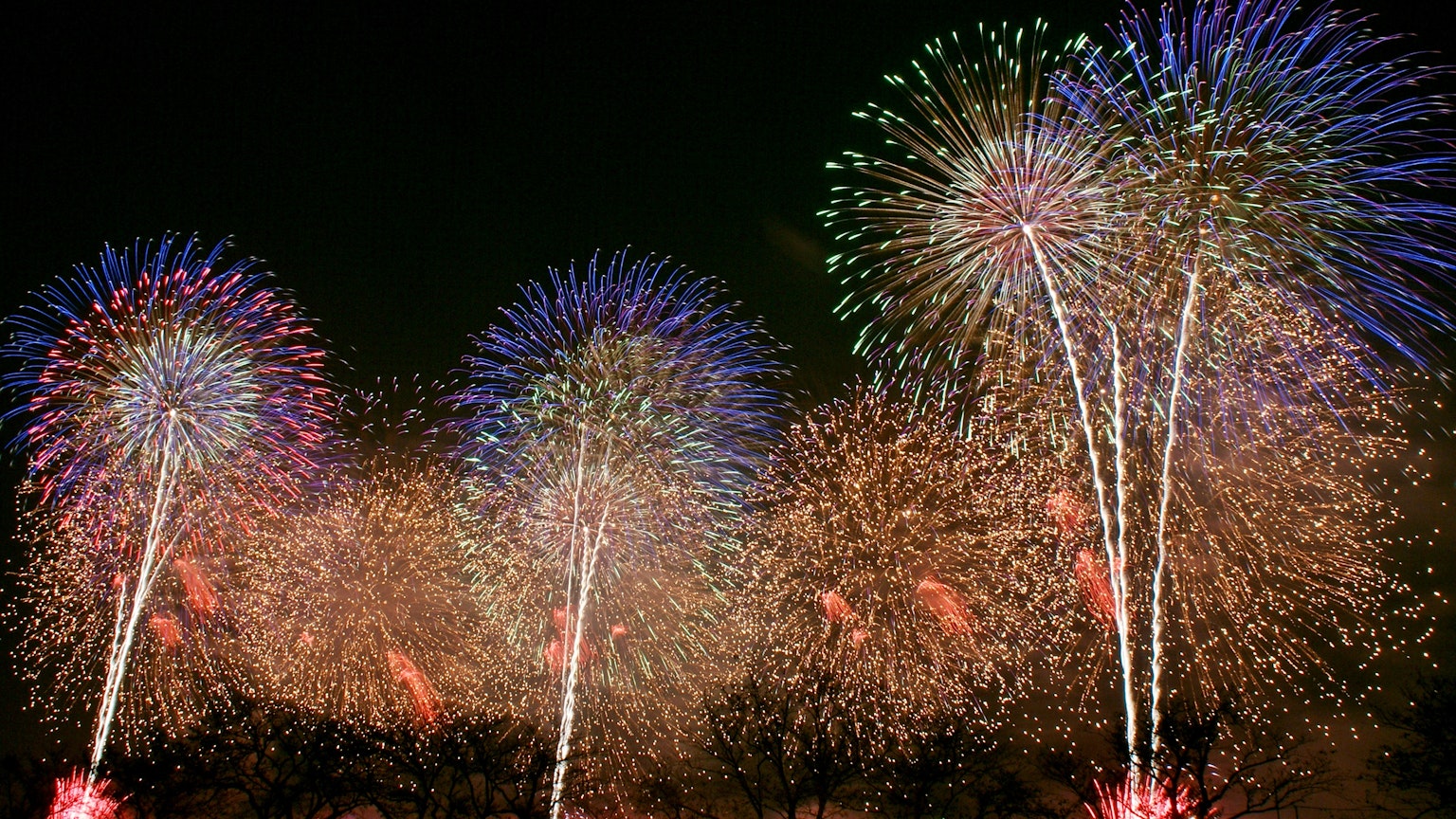 Colorful fireworks display in the night sky