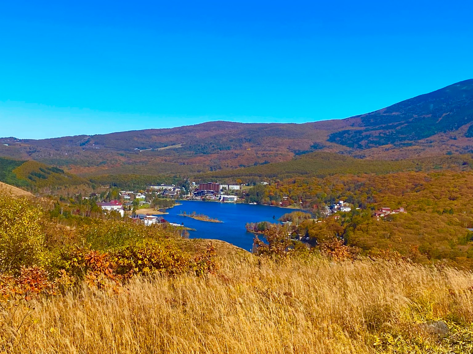 湖泊四周被秋天的树叶和山脉环绕，晴朗的蓝天下的风景