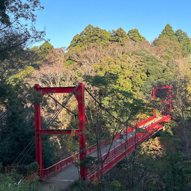 赤い吊り橋と森の木々が広がる山間の景色