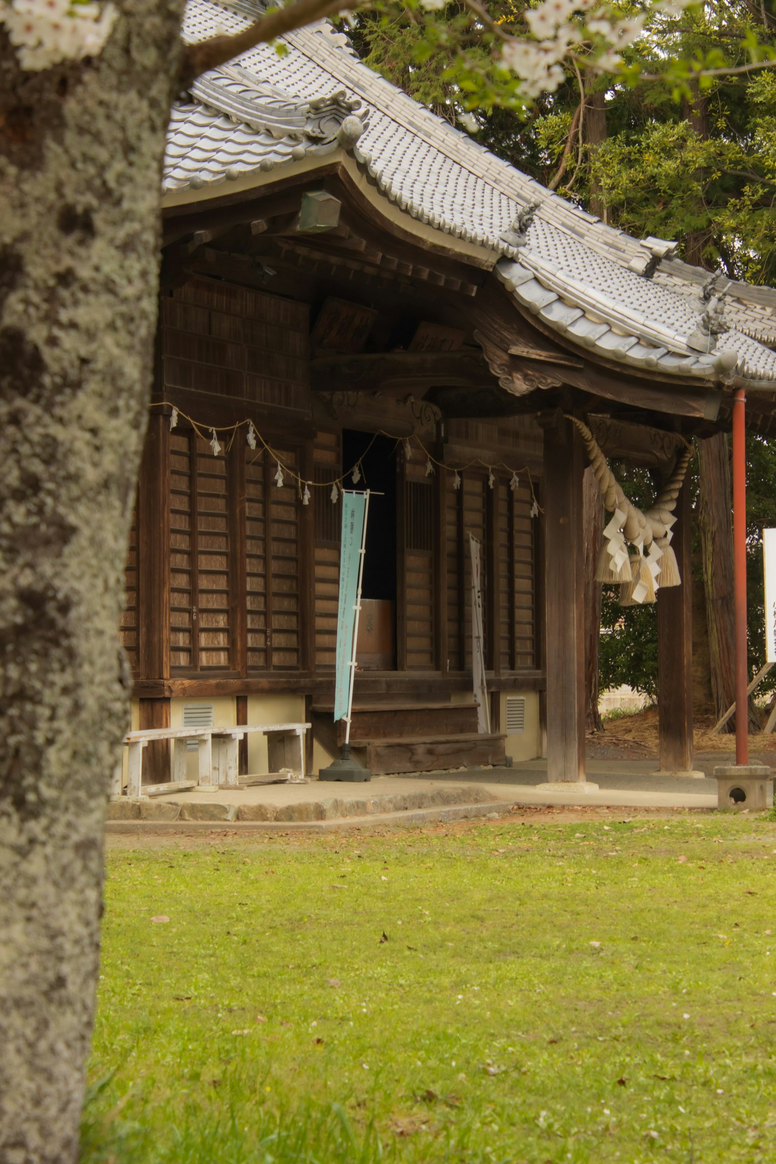 一座古老的神社建築與綠色草坪