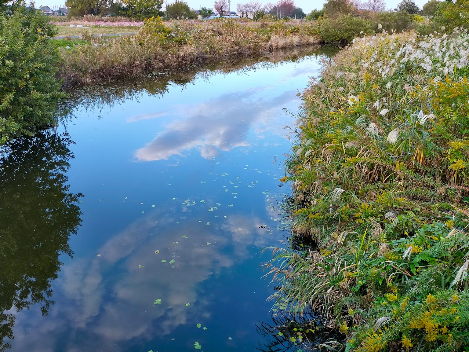 Ruhiger Fluss, der den Himmel und die umgebenden Pflanzen spiegelt