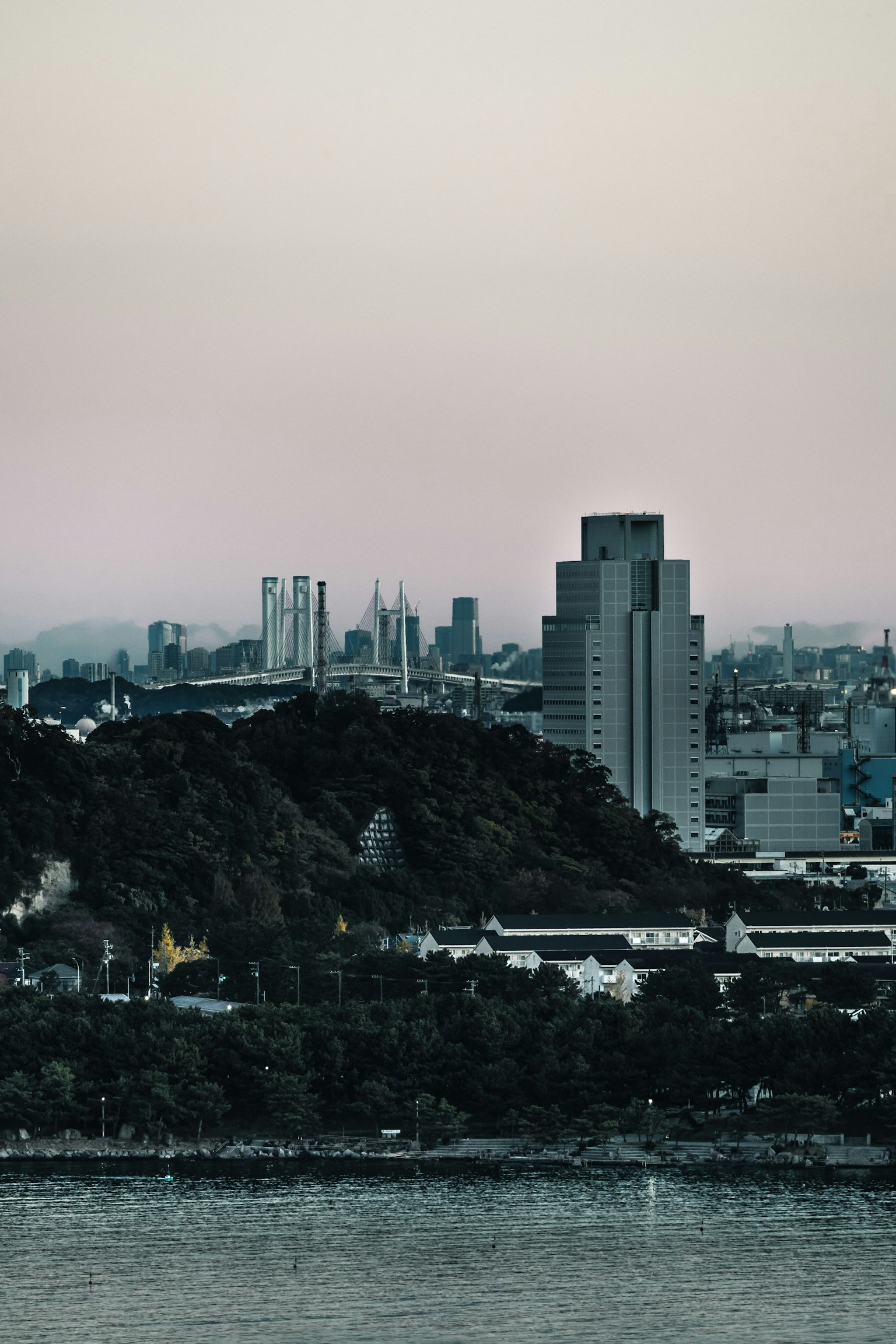 海に面した都市の風景 高層ビルと緑の丘が見える