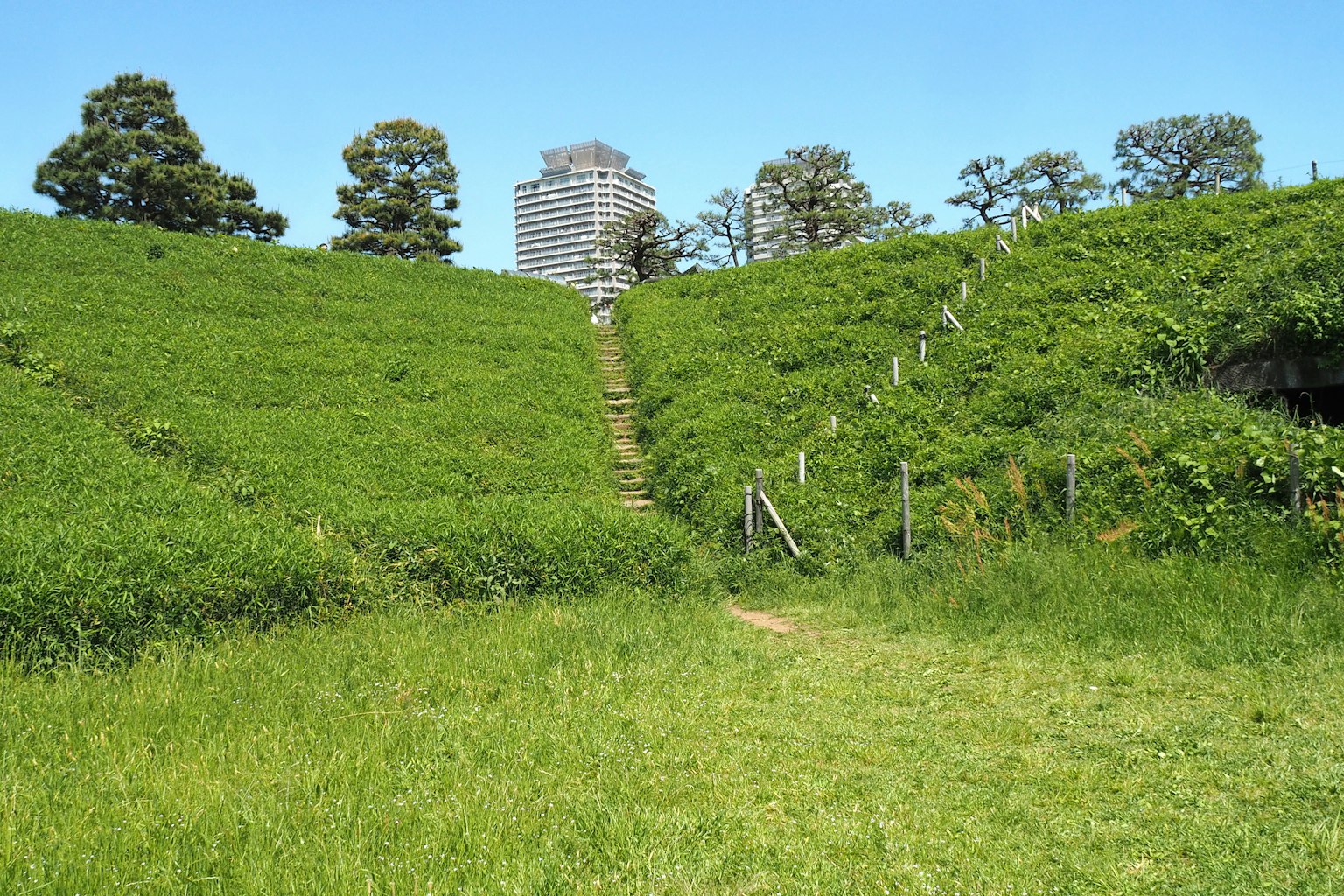 ภูมิทัศน์ที่มีเนินเขาสีเขียวและอาคารในพื้นหลัง
