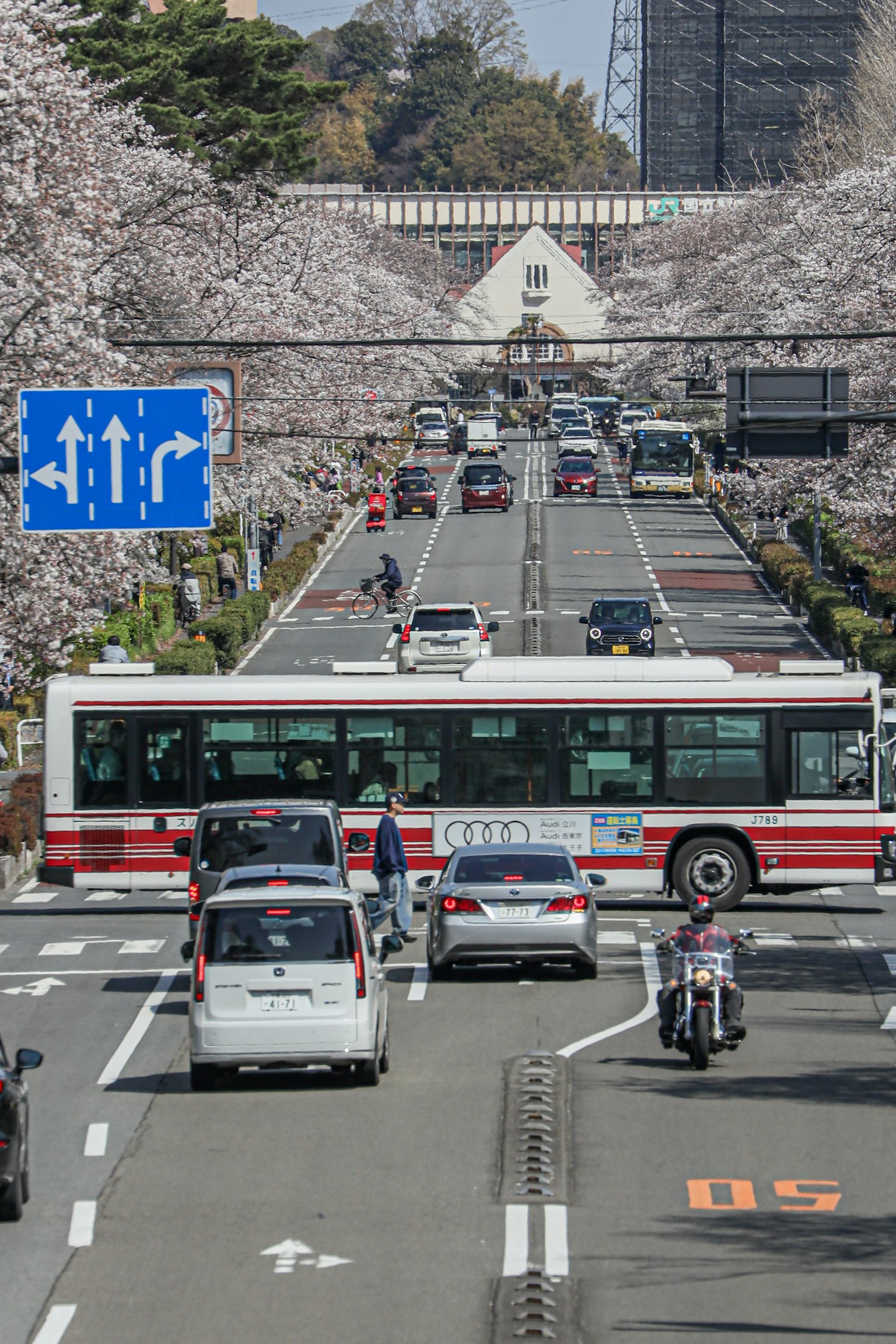 Verkehrsszene mit einem Bus und Autos entlang einer Kirschbaumallee