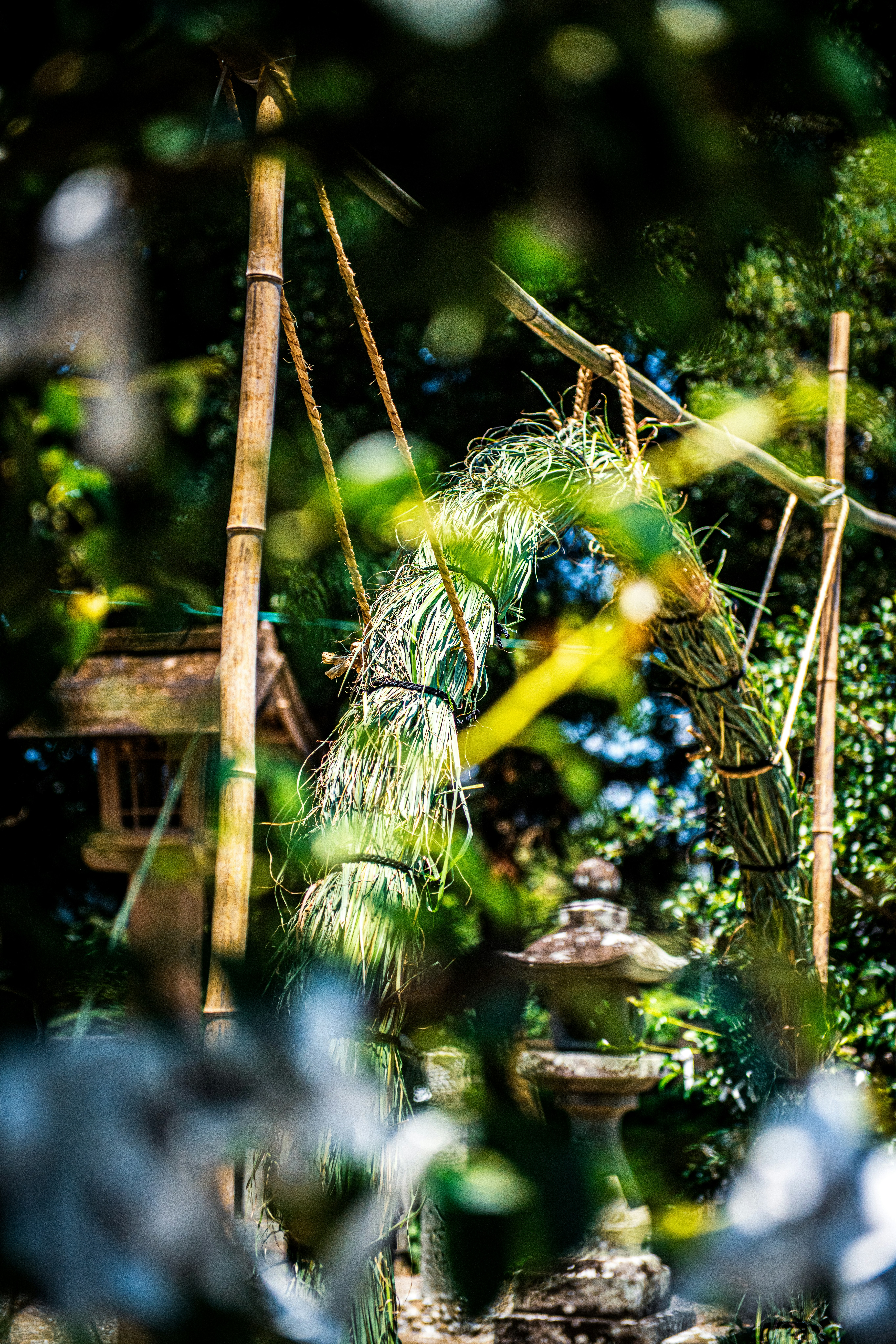 photo-QuwpoaZszKMTpg7b0m42-image