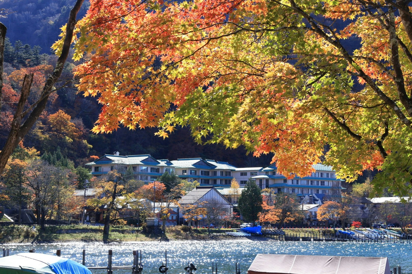 Feuillage d’automne sur un hôtel au bord de la rivière