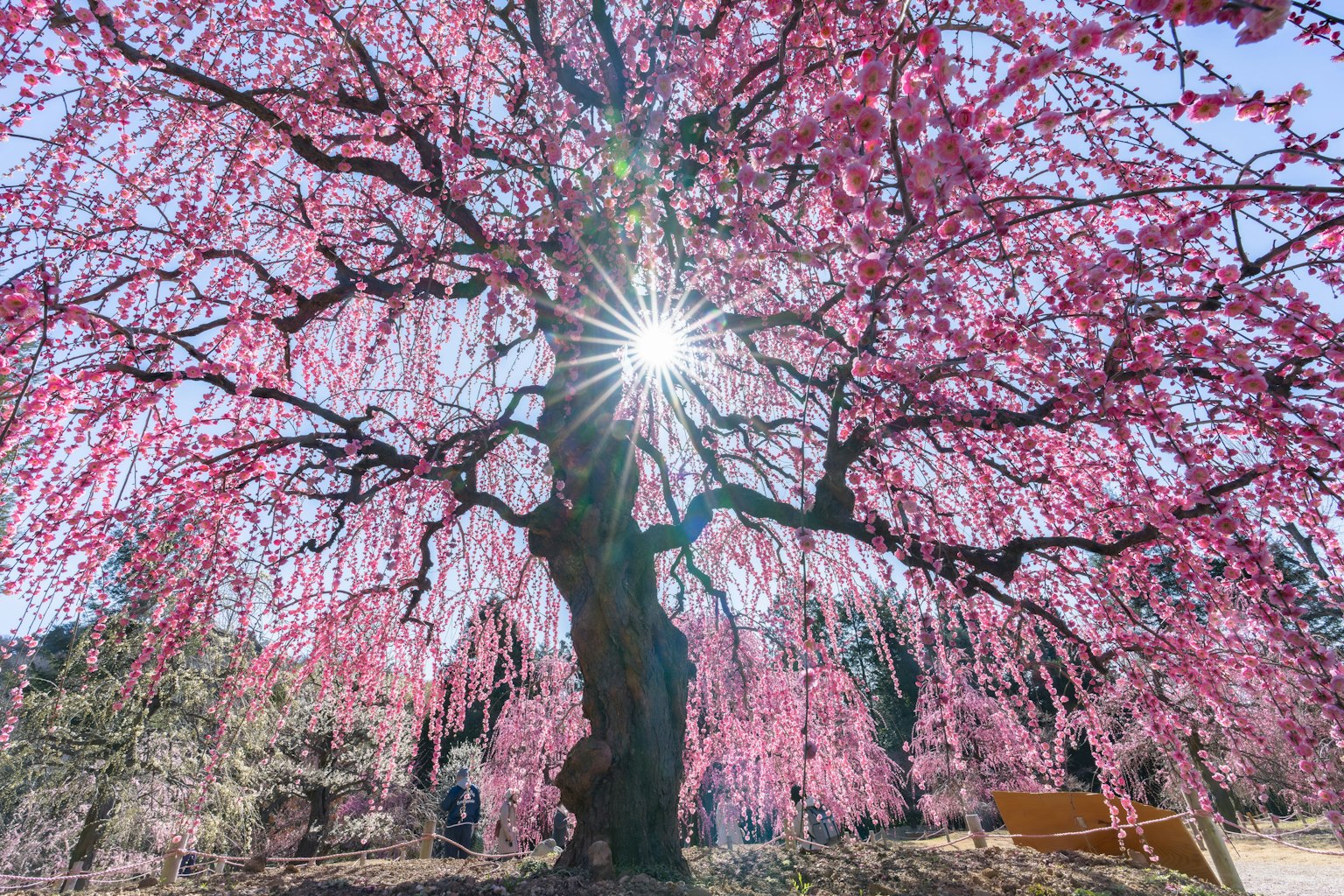 photo-Qvv7dYdQNnDMM5N7LvFN-image