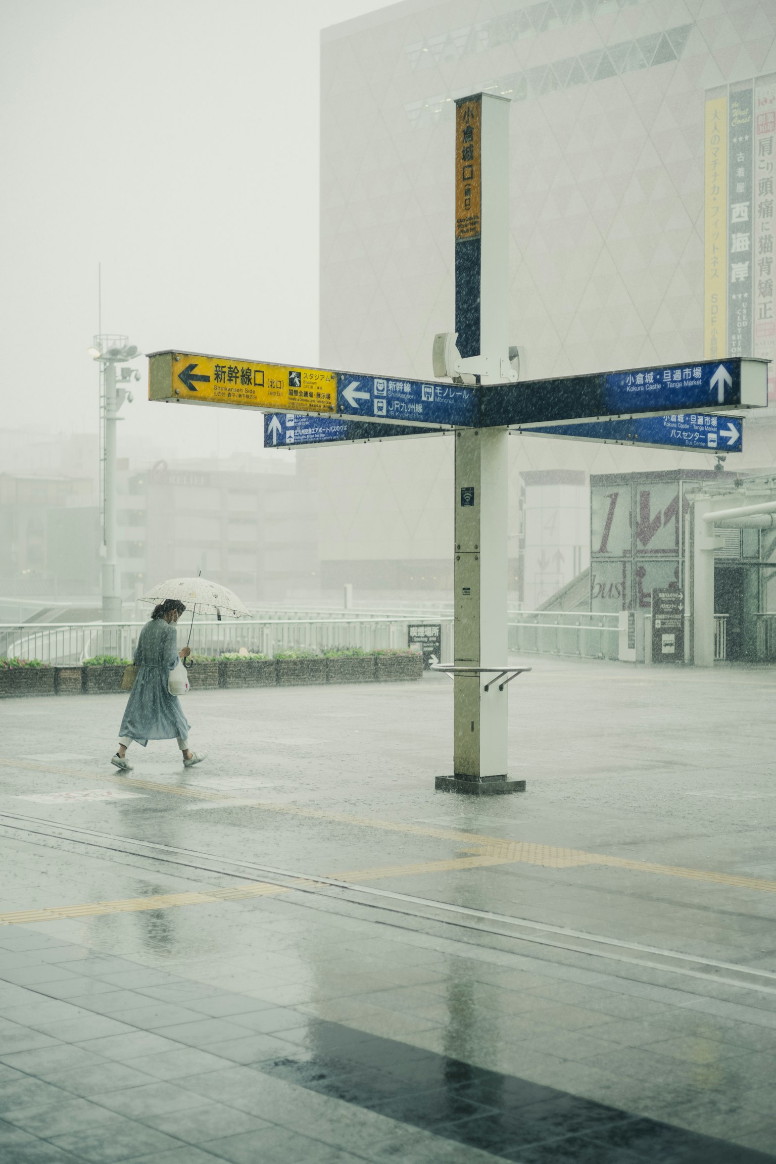 雨の中を歩く女性と標識が映る風景