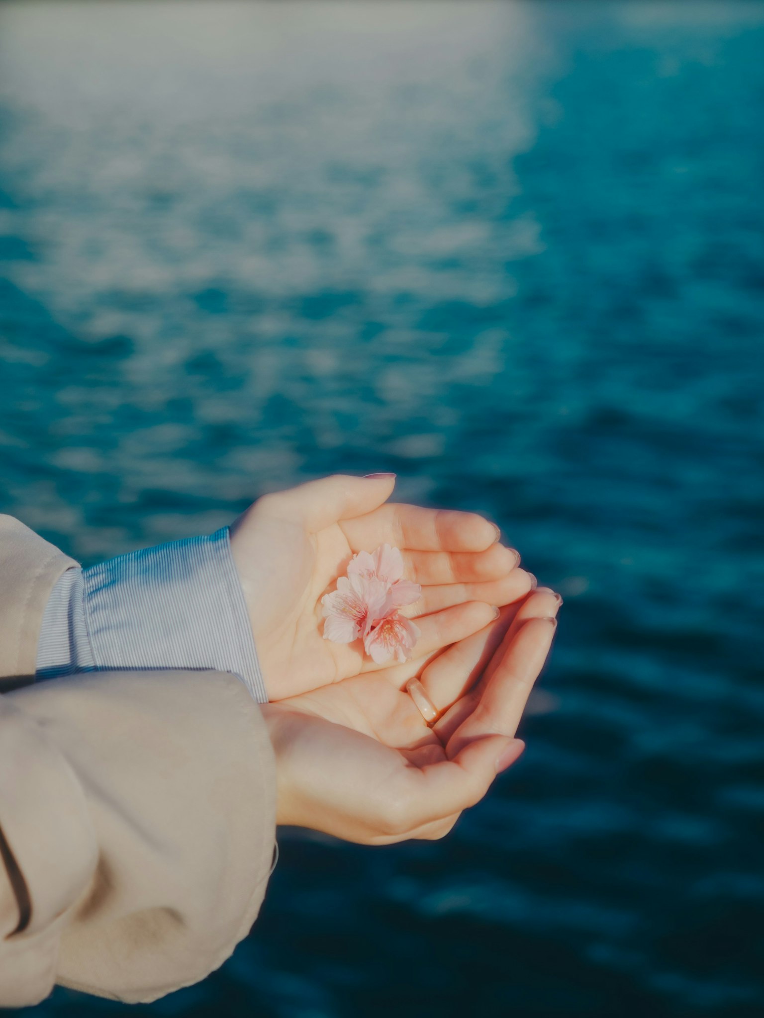 photo-QwFD5VIEptltGoPpt2z3-image