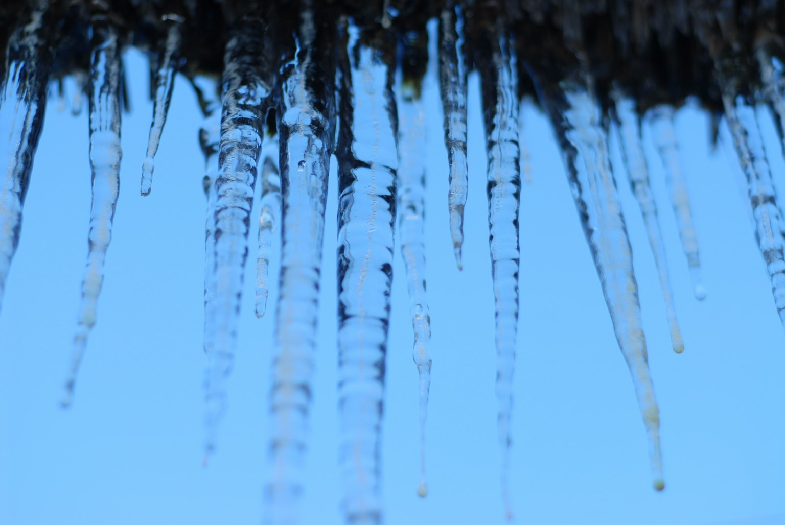 Close-up of icicles against a blue sky