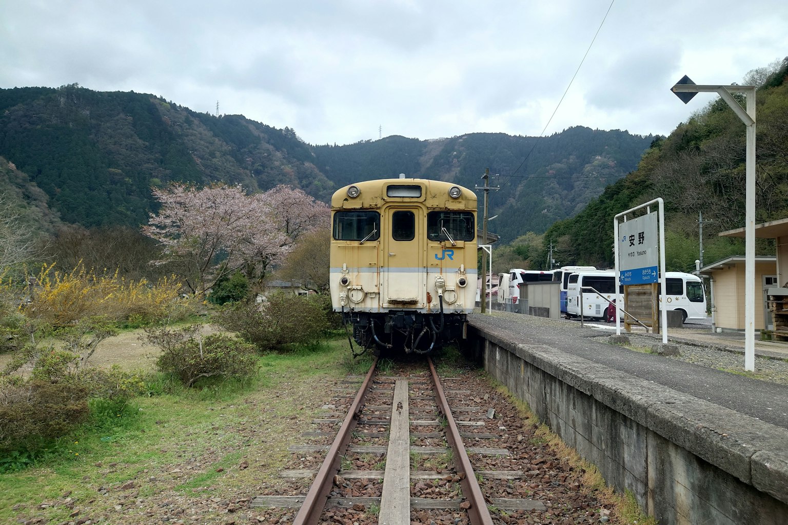 An old train at a station surrounded by mountains and cherry blossom trees