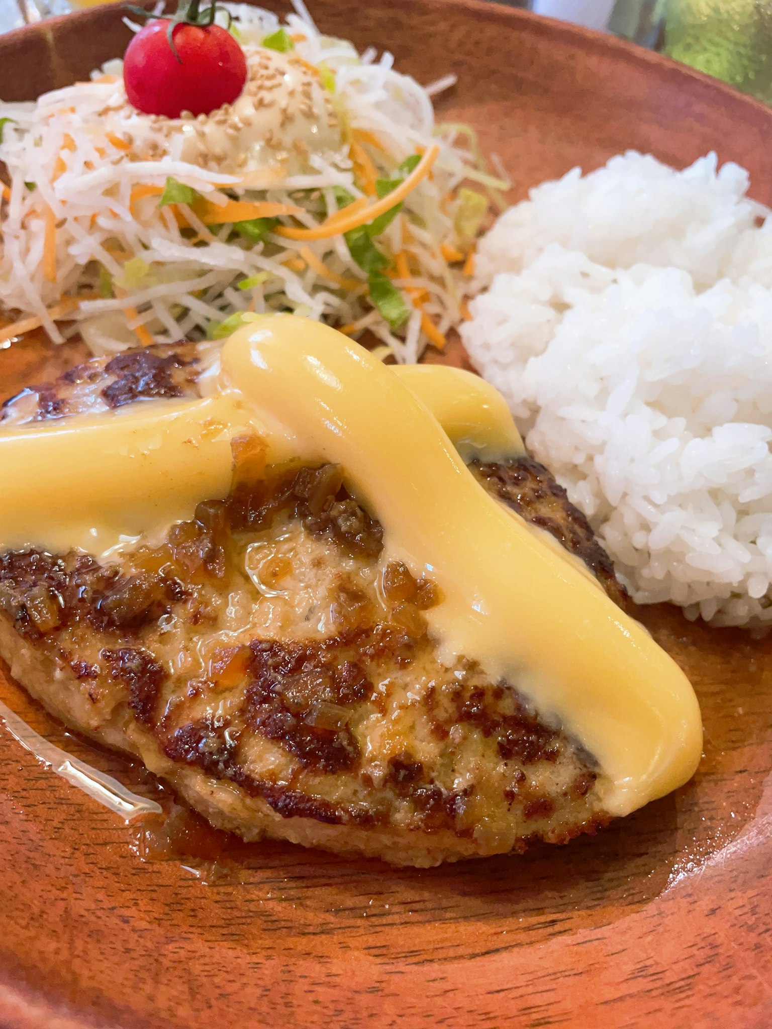 Teller mit Hamburgersteak, überzogen mit Käsesoße, serviert mit Reis und Salat