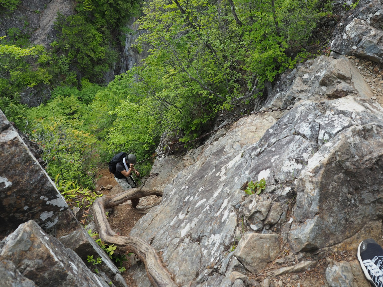 攀登岩石地形的登山者，四周环绕着郁郁葱葱的绿色植被