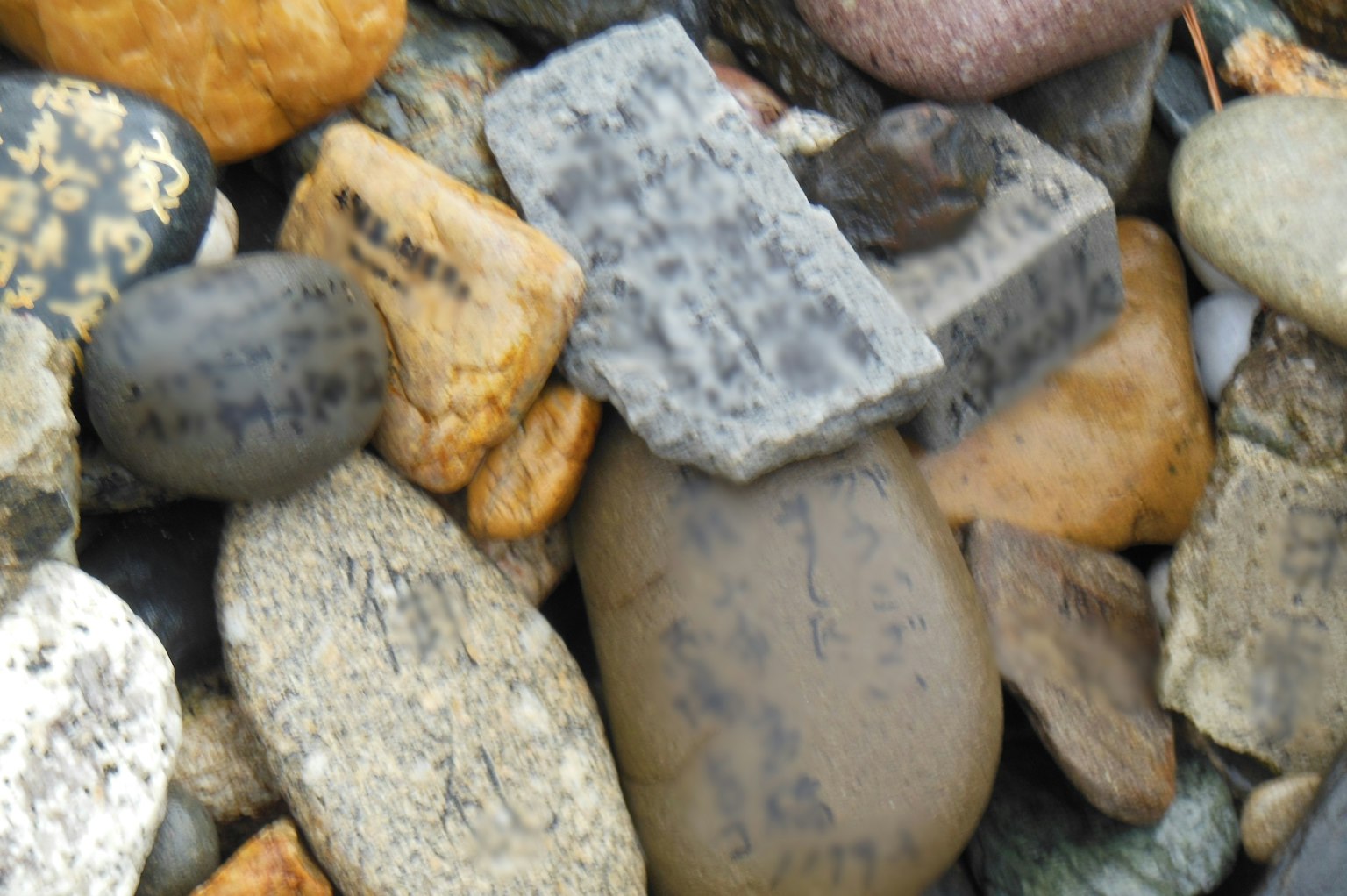 A collection of various stones displaying different colors and shapes with notable patterns