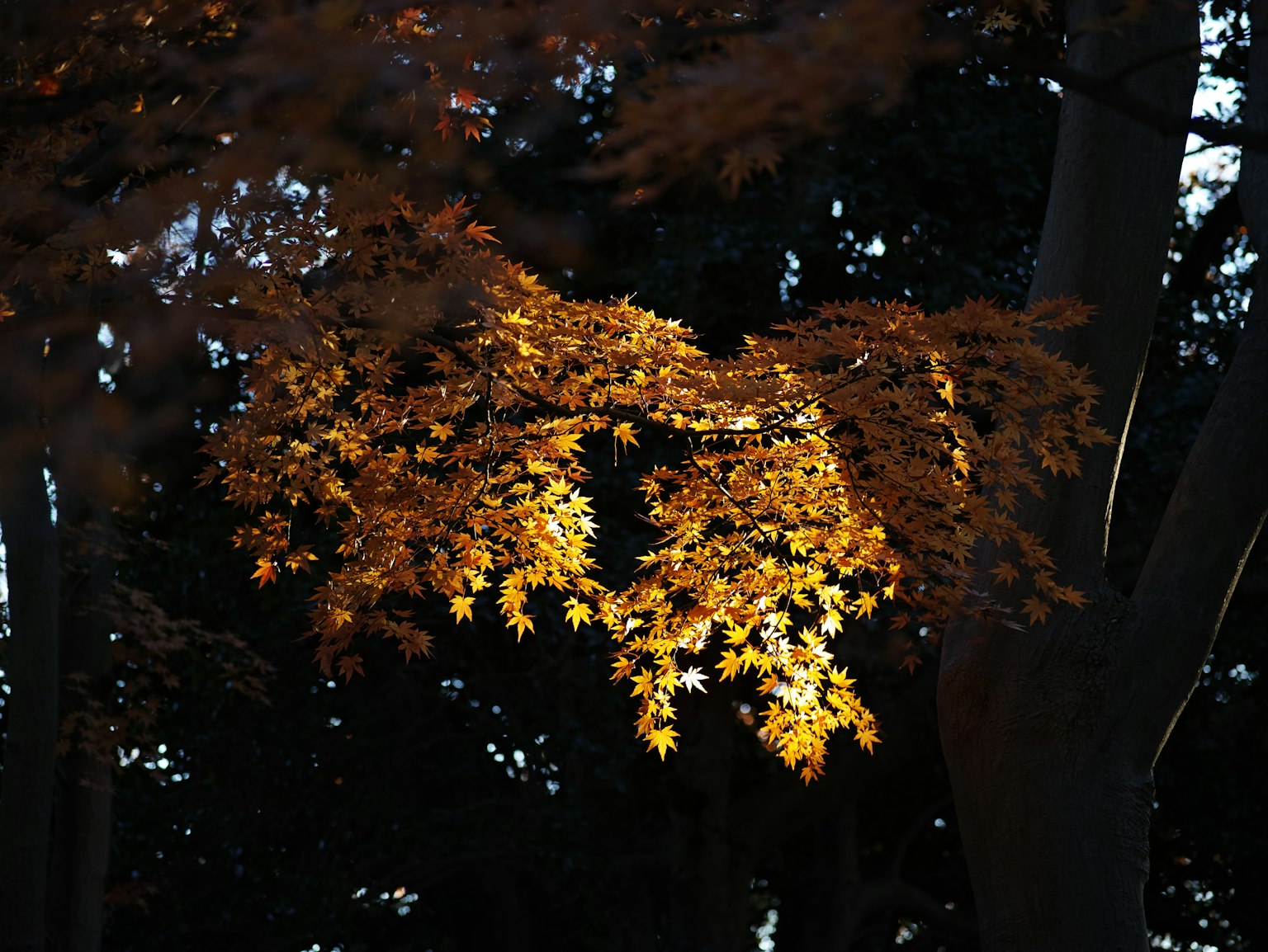 photo-QxzWMgoBUTpCvq6lXHBb-image
