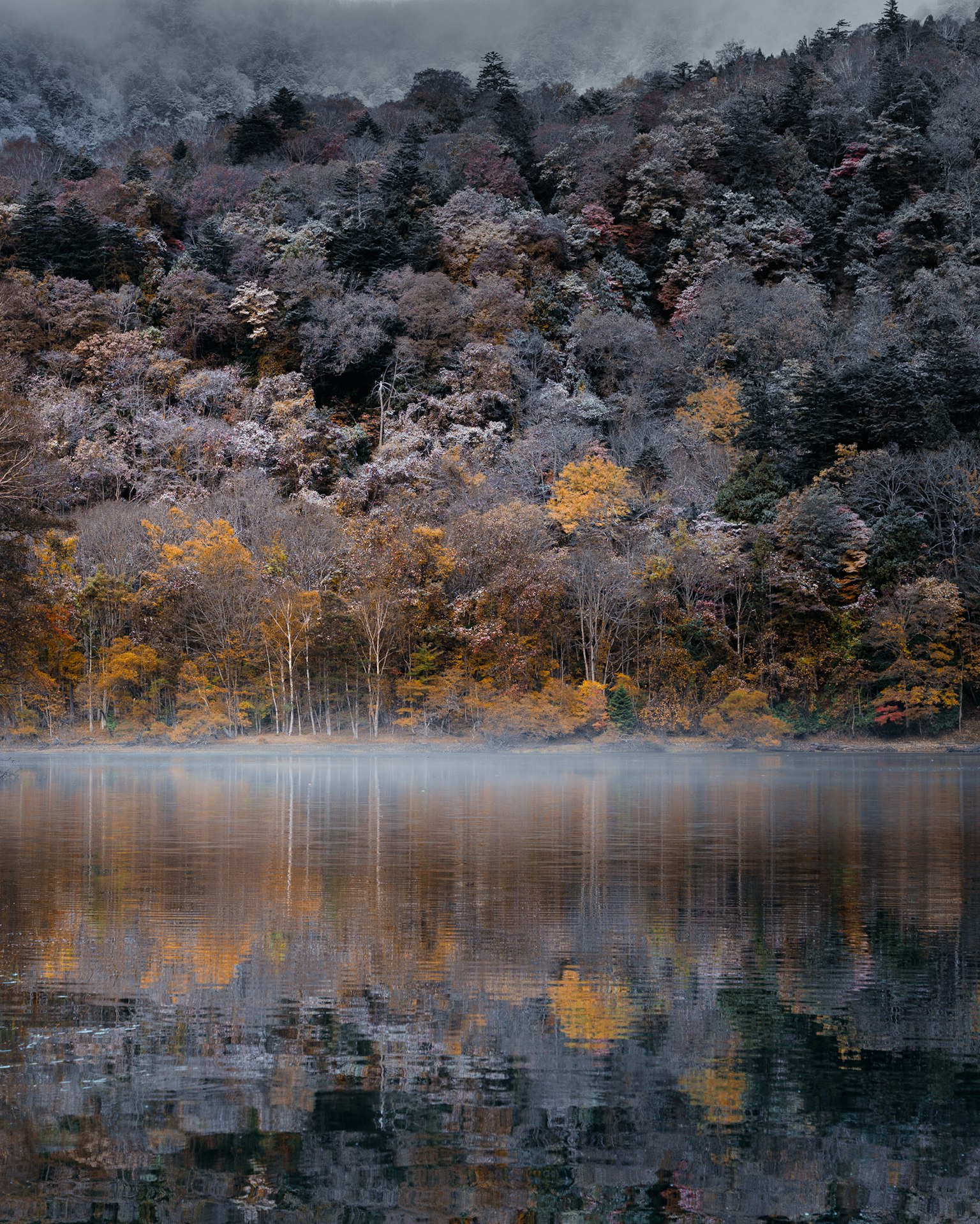 Ruhige Landschaft mit Nebel über einem See und der Reflexion lebhafter Herbstbäume