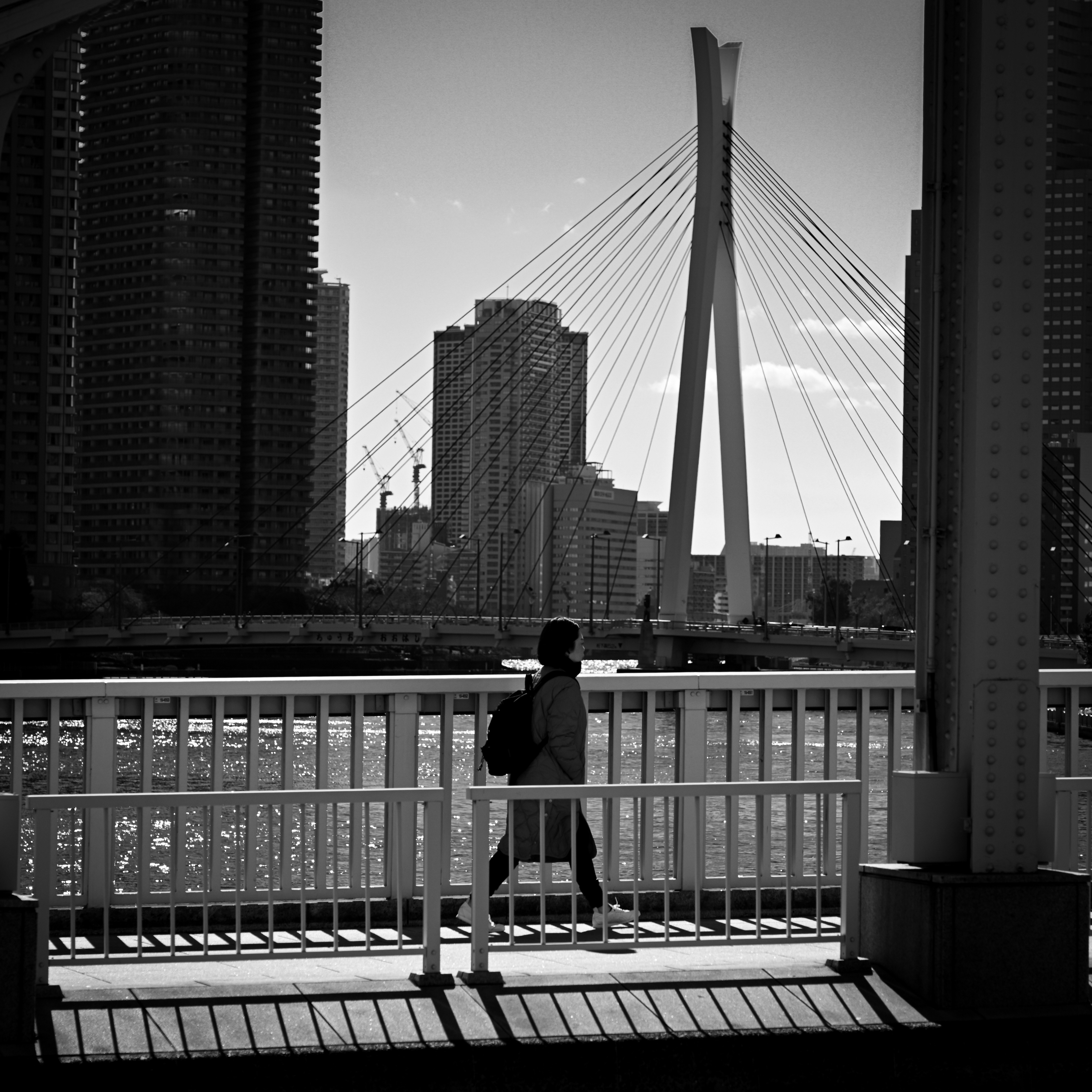 東京タワーと隅田川を望むモノクロの橋上風景