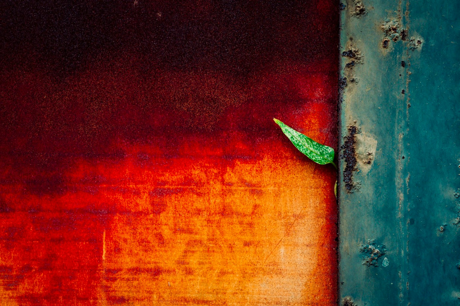 赤とオレンジのグラデーションの背景に緑の葉がある画像