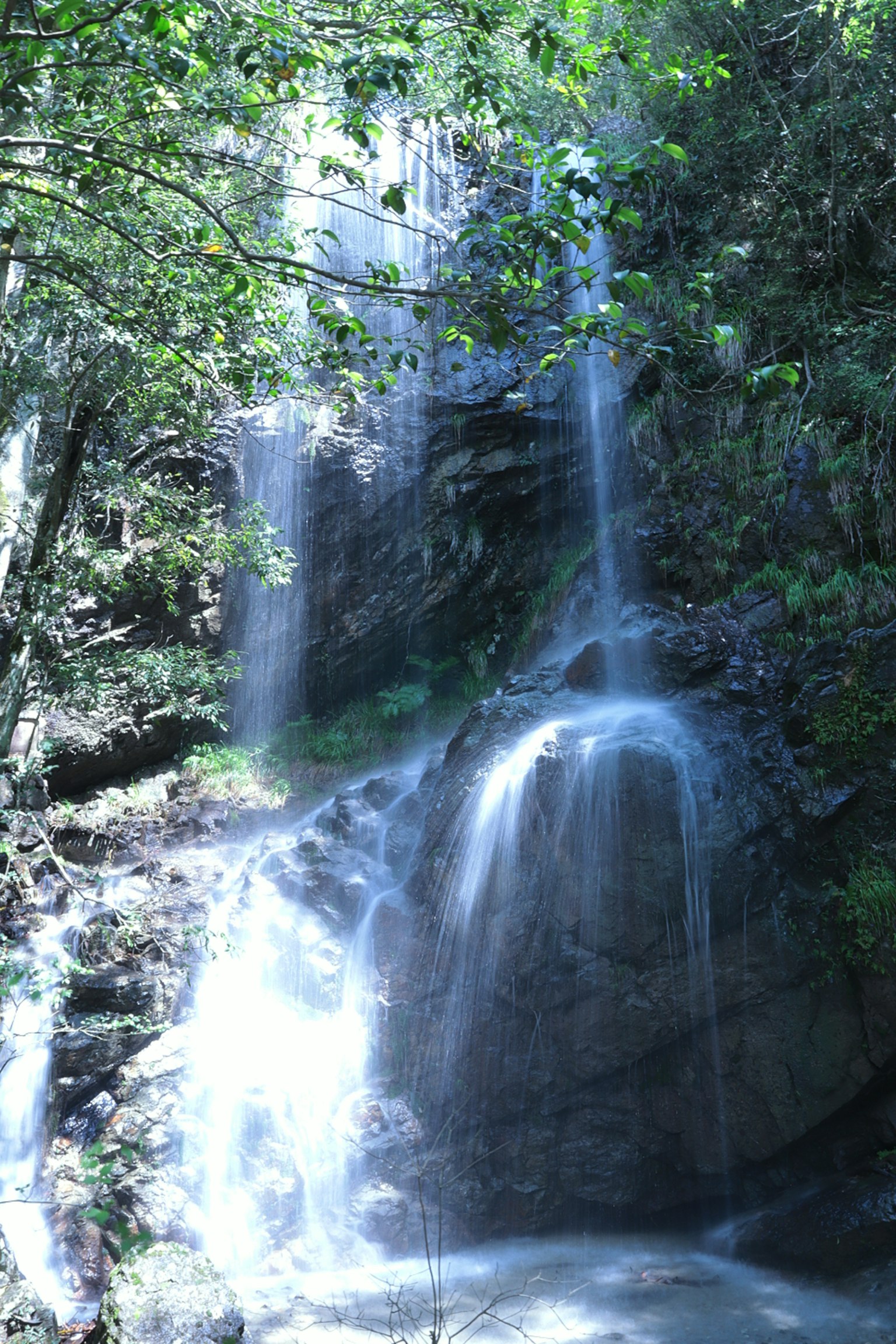Pemandangan air terjun yang indah dikelilingi oleh pepohonan air mengalir dari batu