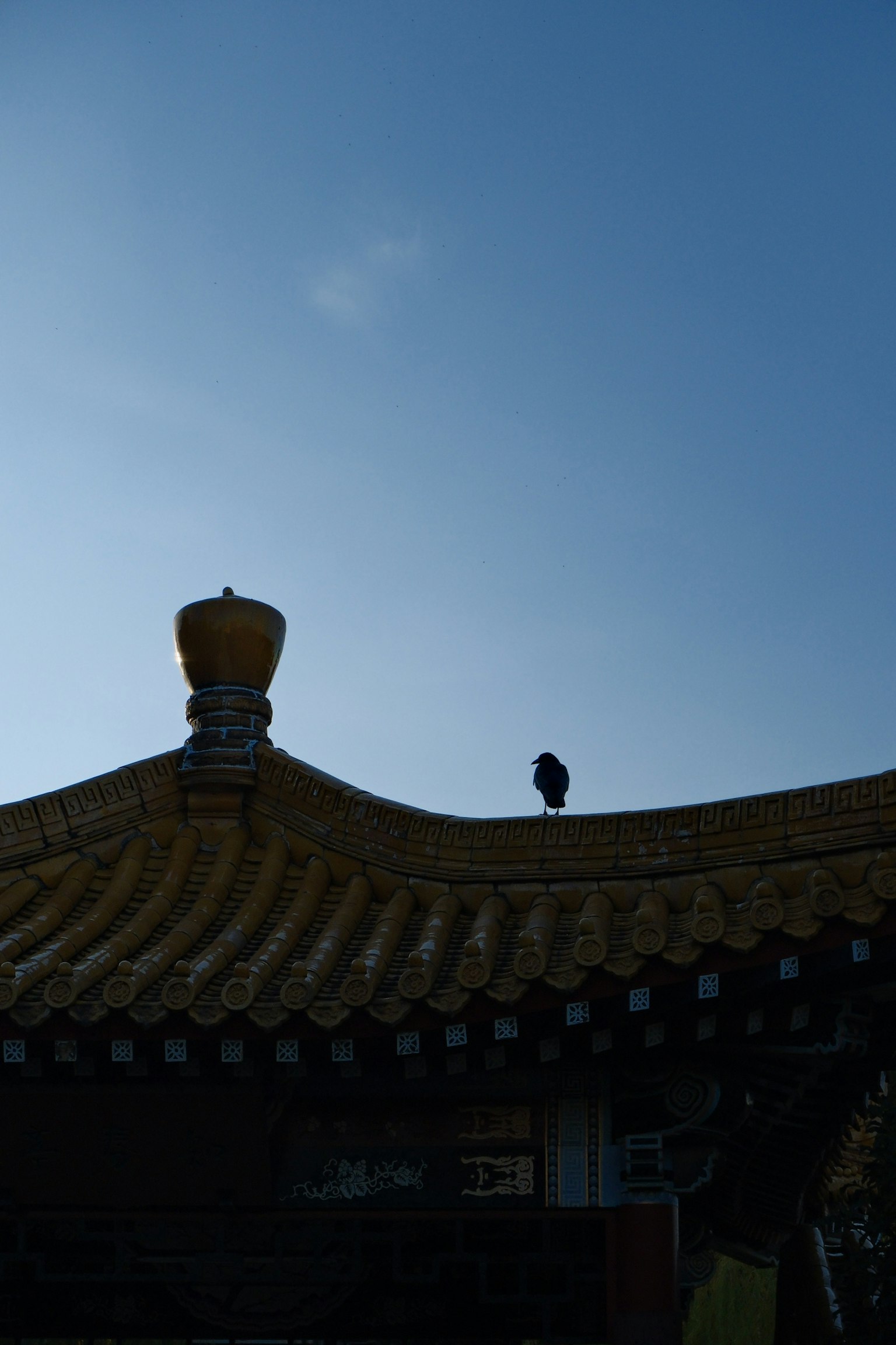 青空の下にある伝統的な中国の屋根のシルエットと金色の飾り