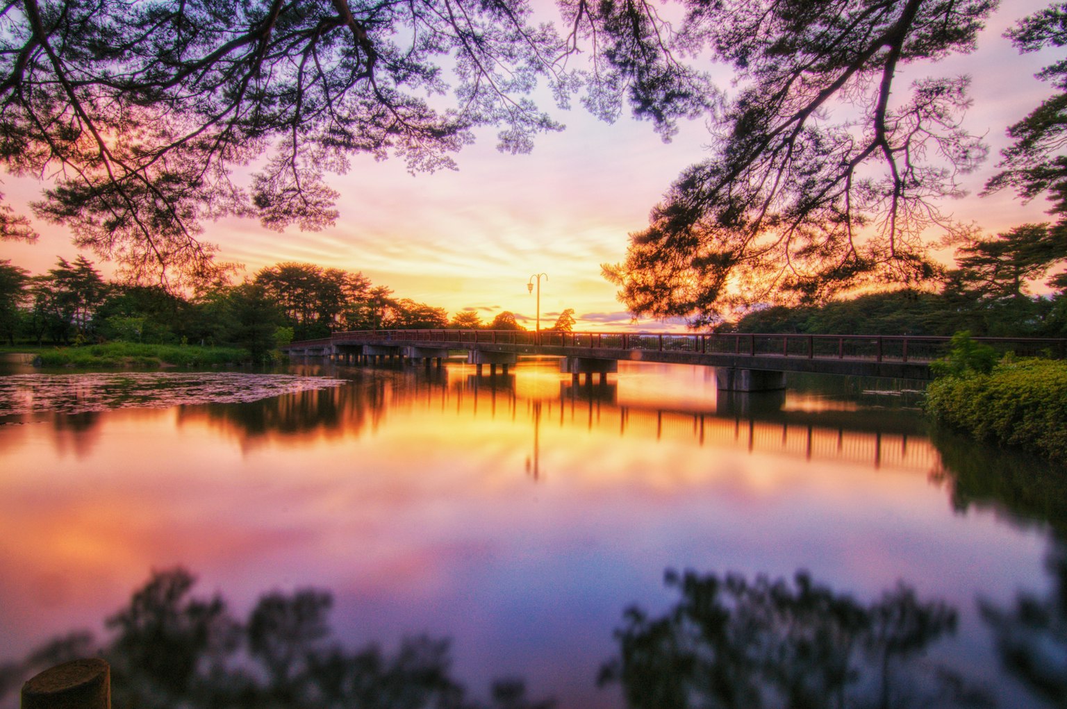Bellissimo riflesso del tramonto su un fiume con un ponte e alberi
