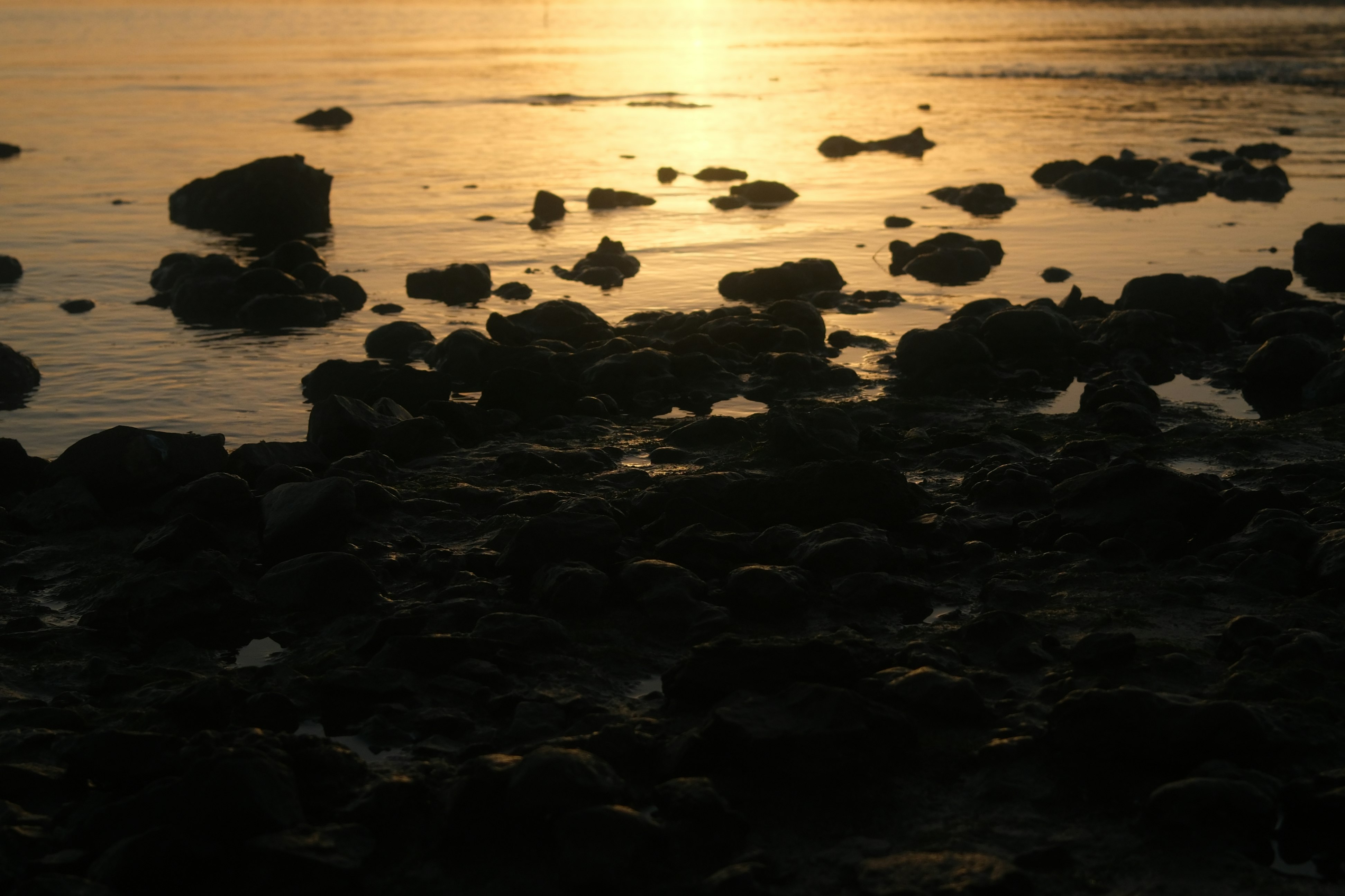 夕日に照らされた岩場の海岸の波打ち際